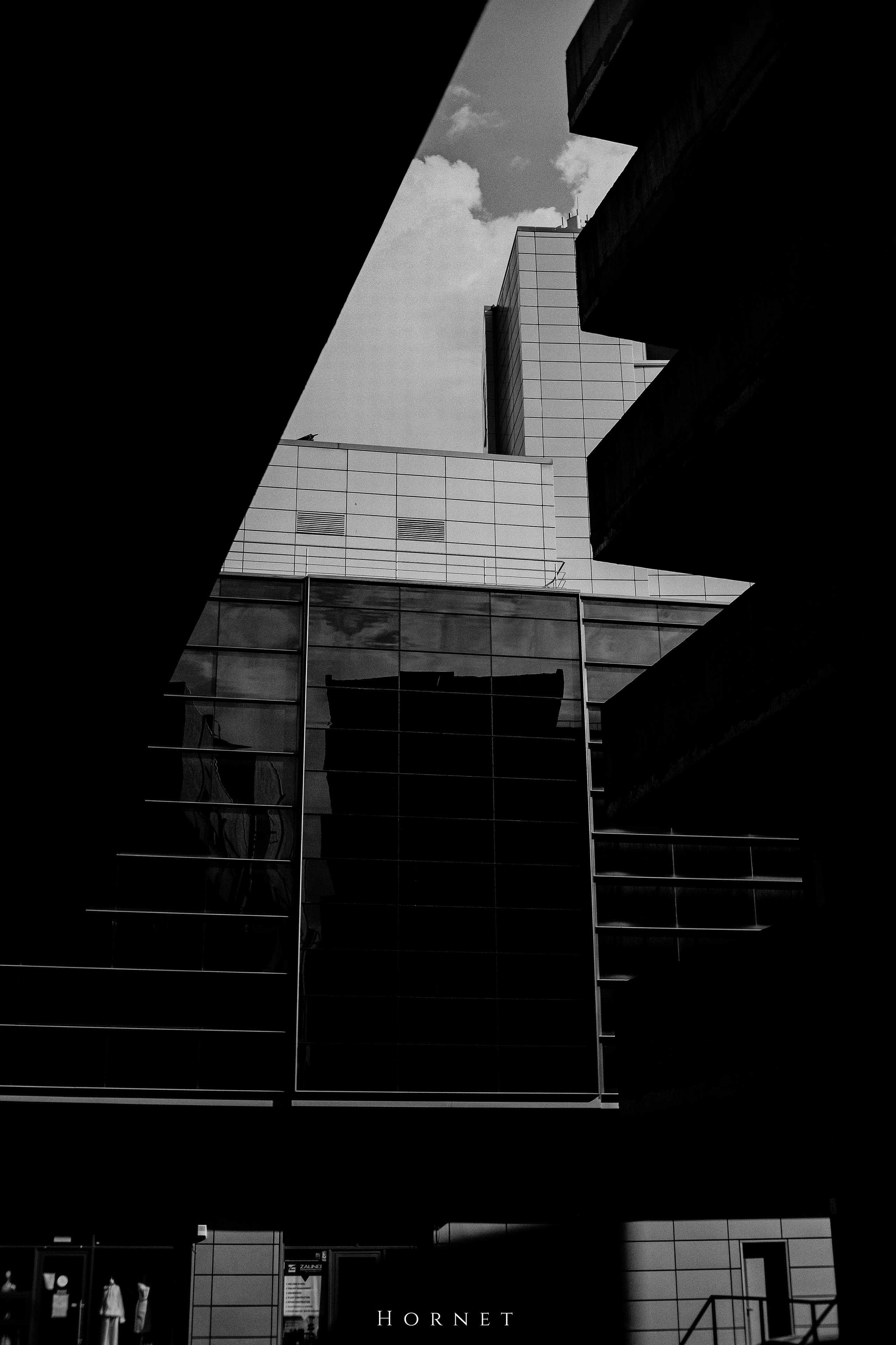 21.04.2025 Ploiesti | Romania. Hornetart