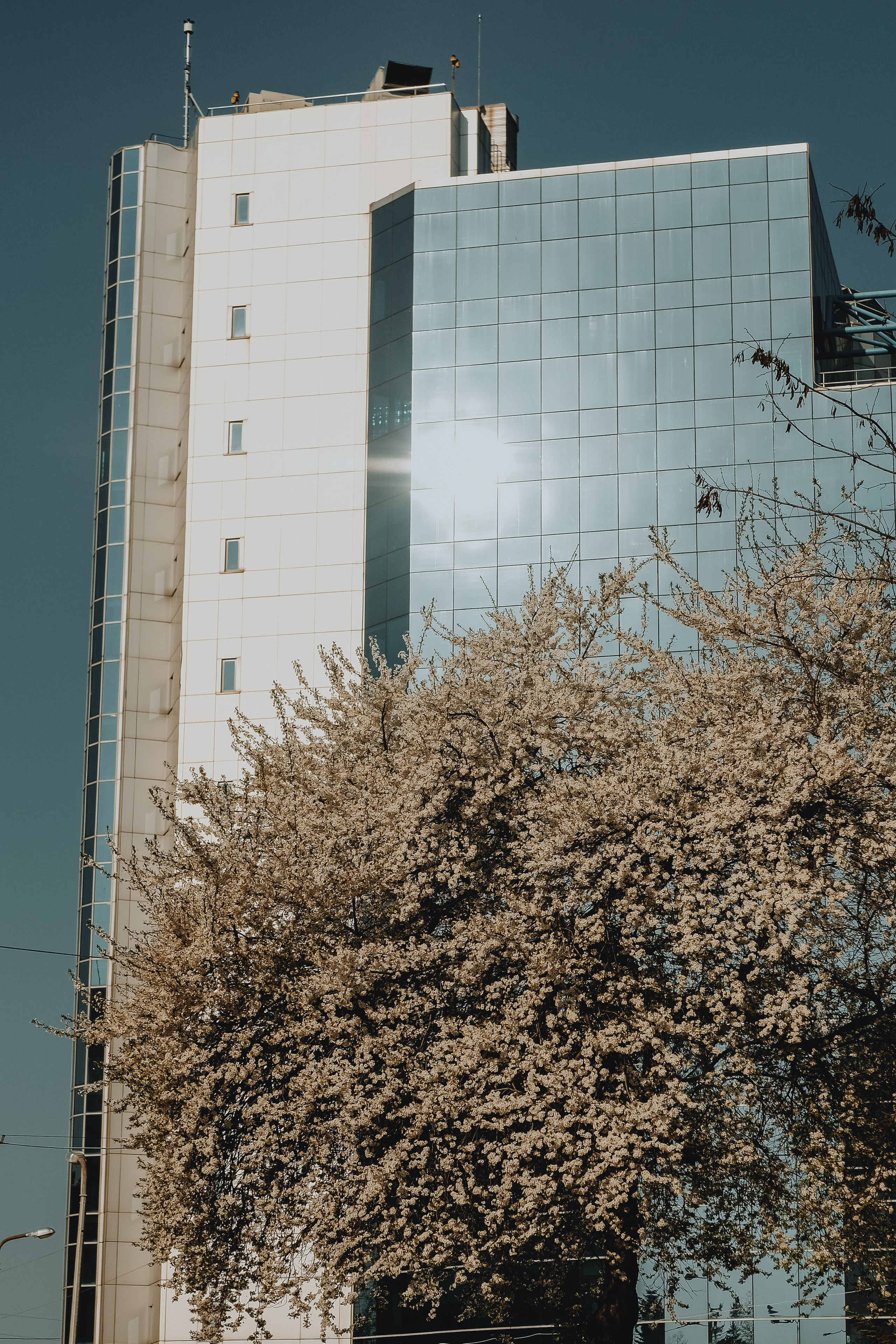 5.04.2026 Ploiesti | Romania. Hornetart