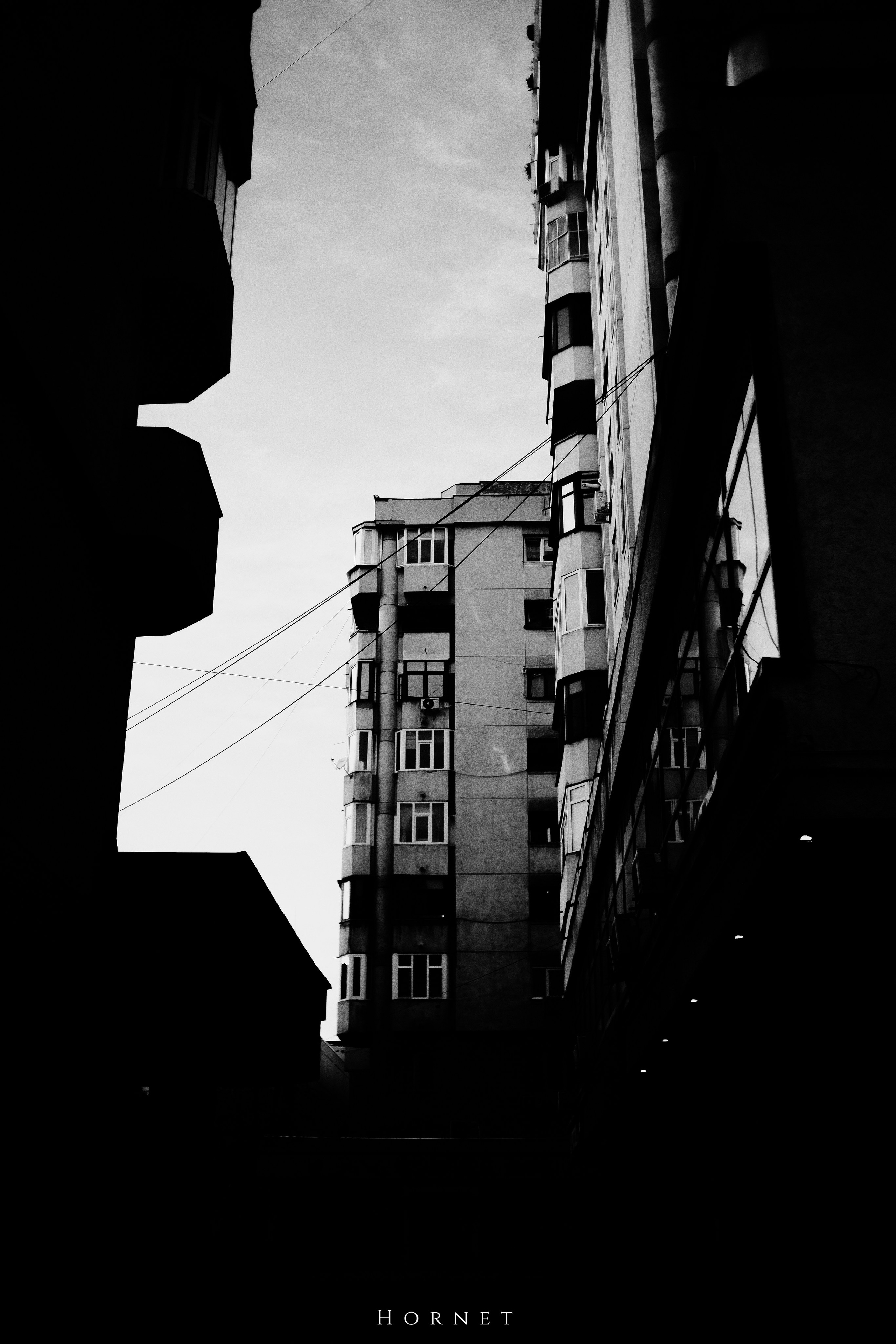 12.01.2025 Ploiesti | Romania. Hornetart
