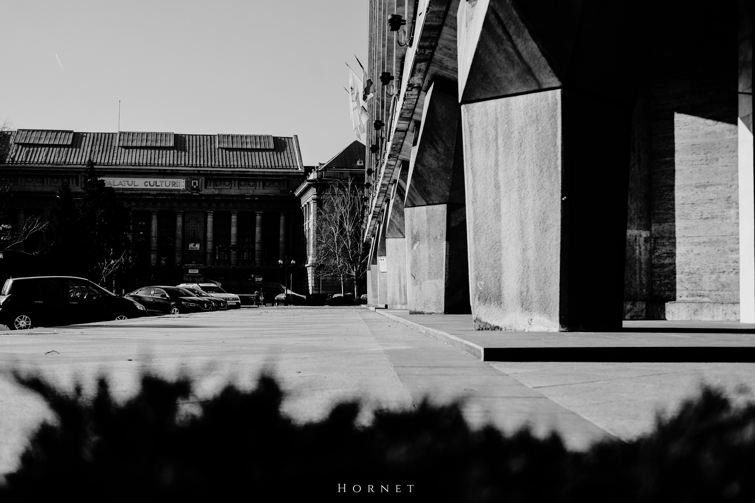 14.03.2026 Ploiesti | Romania. Hornetart