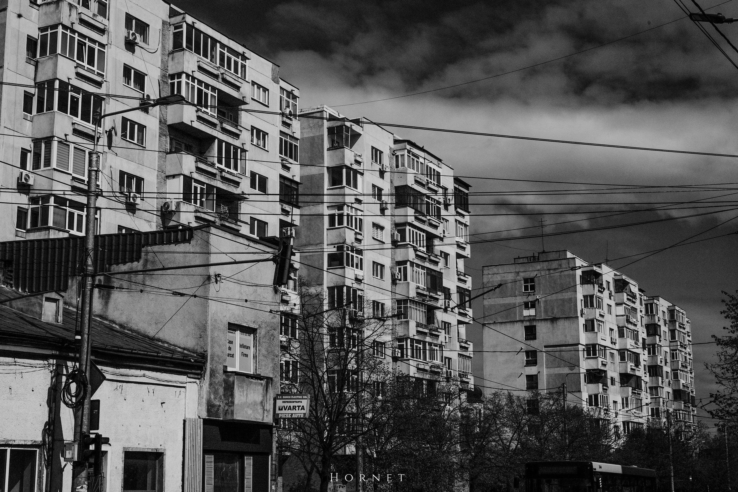 12.04.2025 Ploiesti | Romania. Hornetart