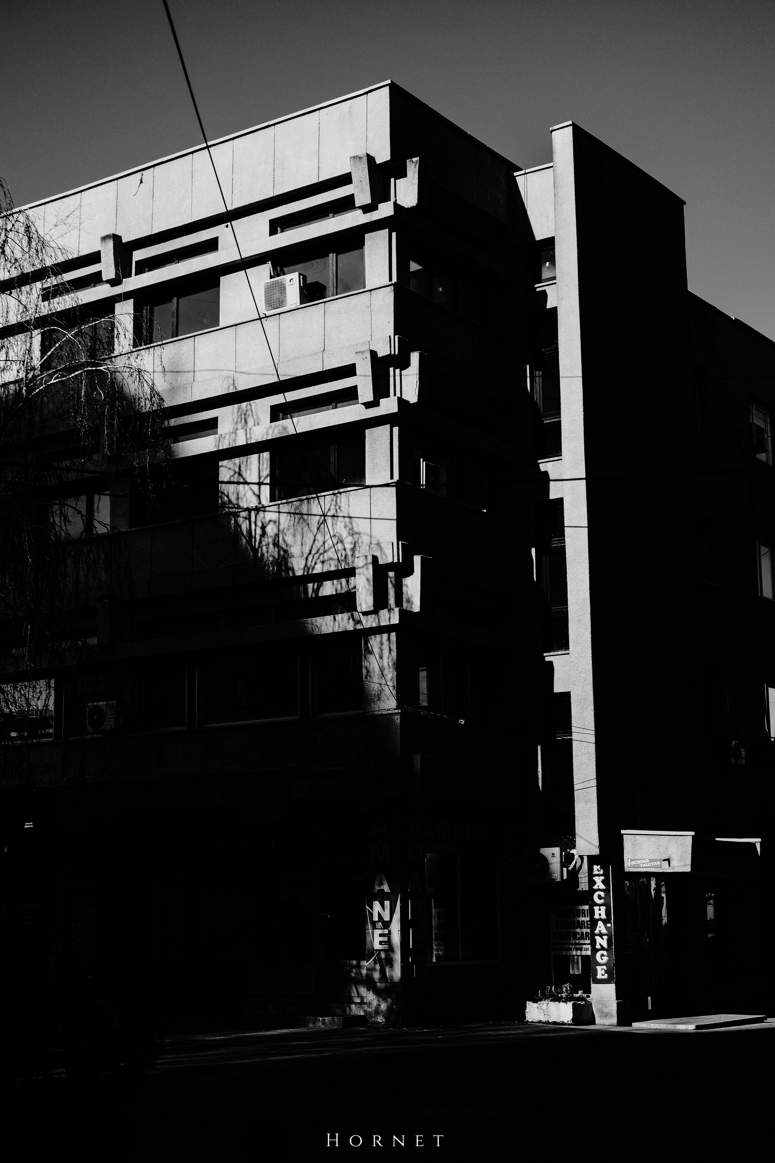 14.03.2026 Ploiesti | Romania. Hornetart