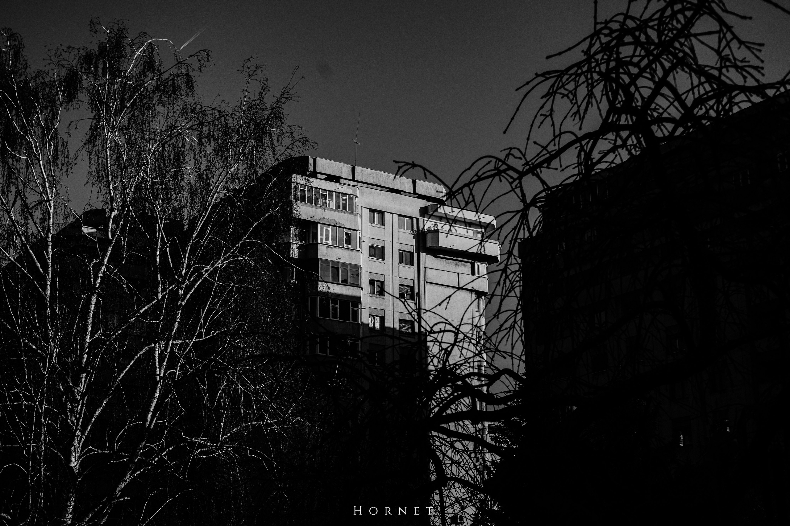 14.03.2026 Ploiesti | Romania. Hornetart