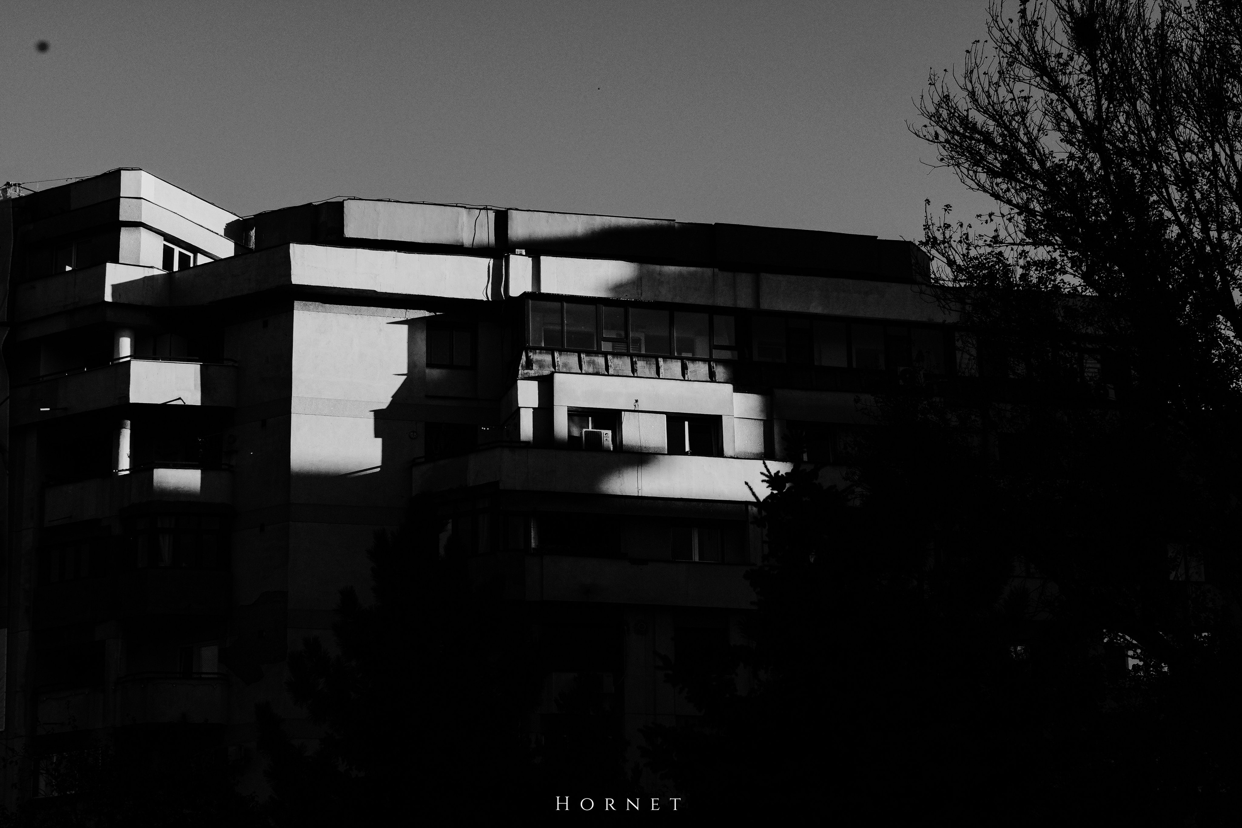 2.11.2025 Ploiesti | Romania. Hornetart