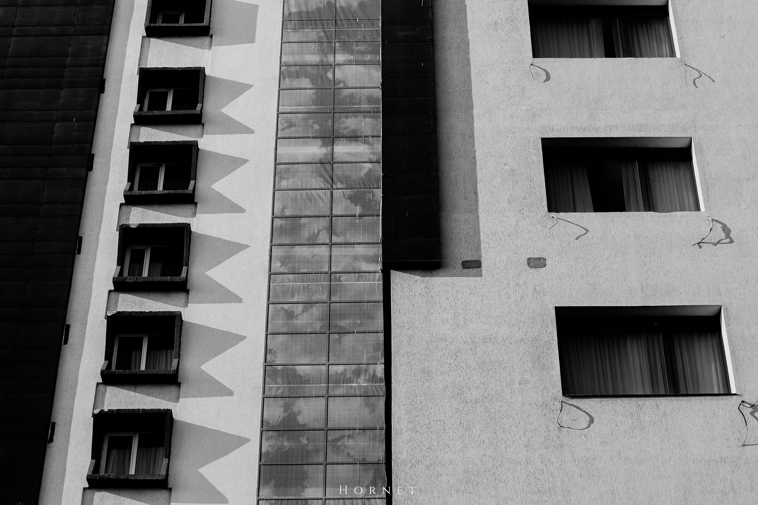 7.02.2025 Ploiesti | Romania. Hornetart