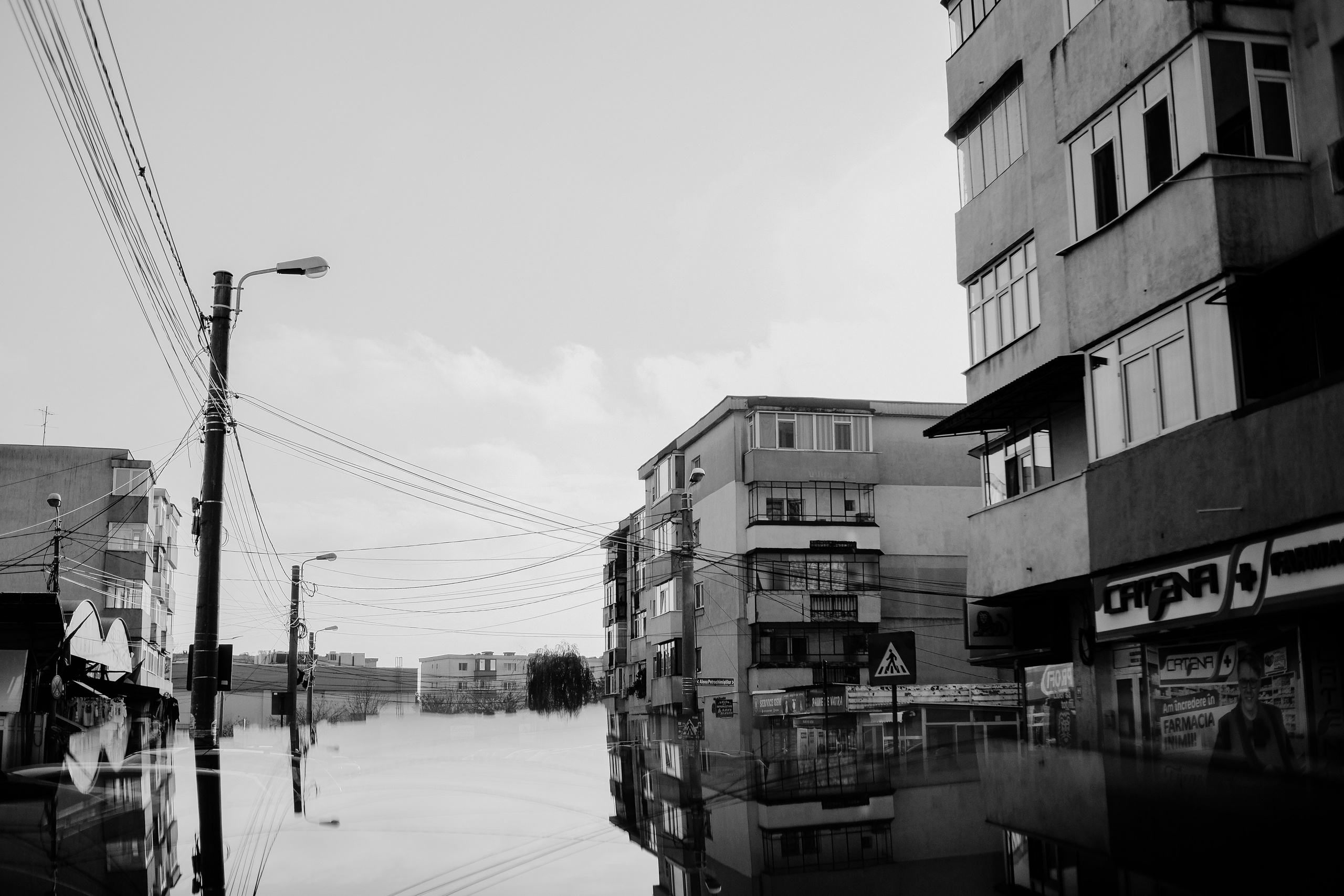 22.11.2025 Ploiesti | Romania. Hornetart