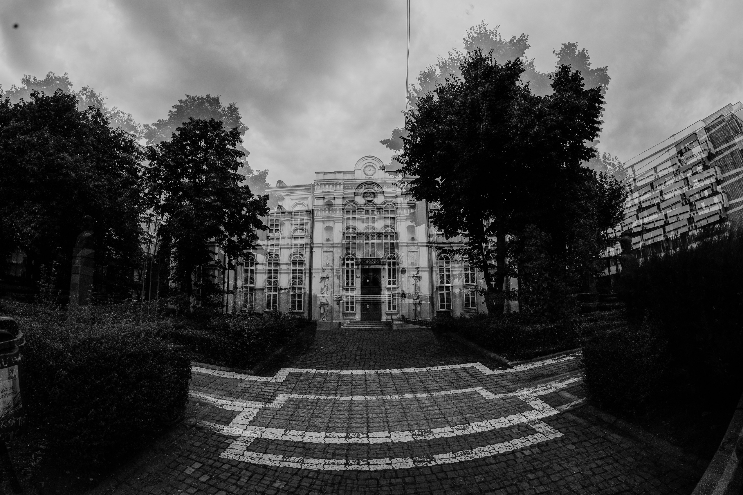 19.07.2025 Ploiesti | Romania. Hornetart