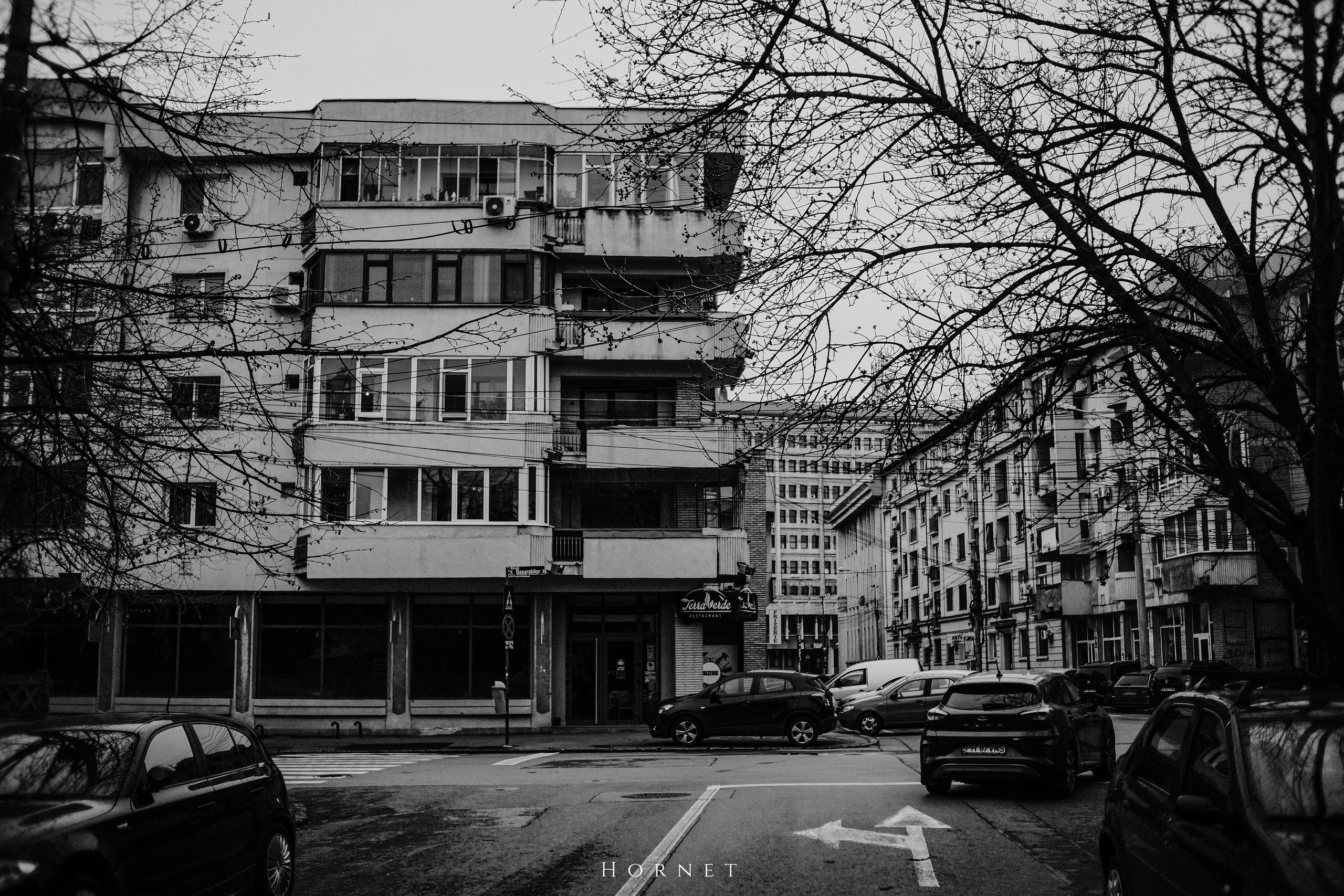 29.03.2025 Ploiesti | Romania. Hornetart