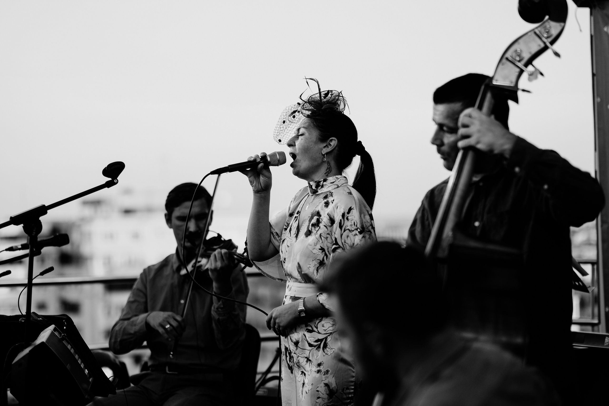 Luiza Zan & Jazzpar Trio. Hornetart