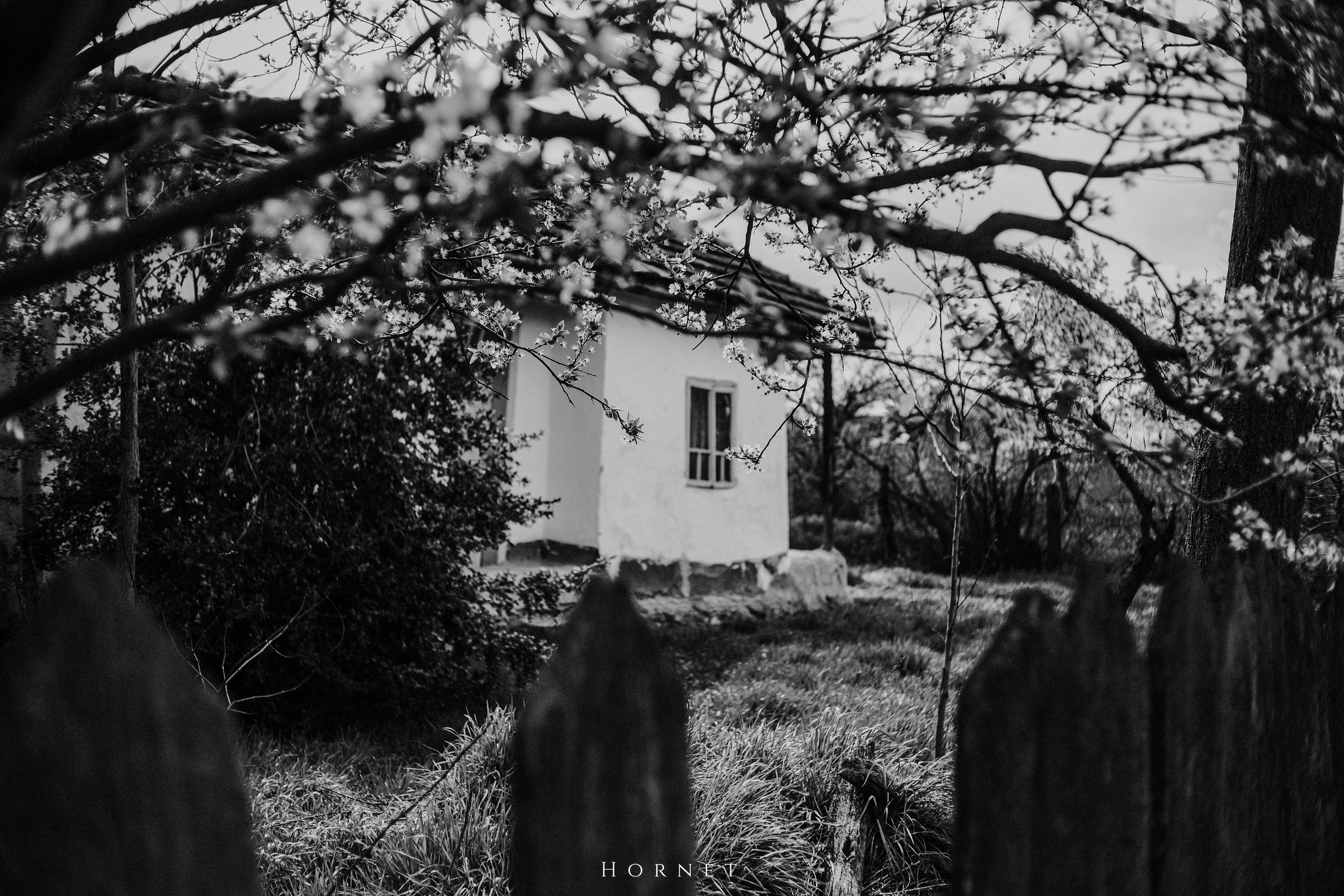 30.03.2025 Buzau | Romania. Hornetart