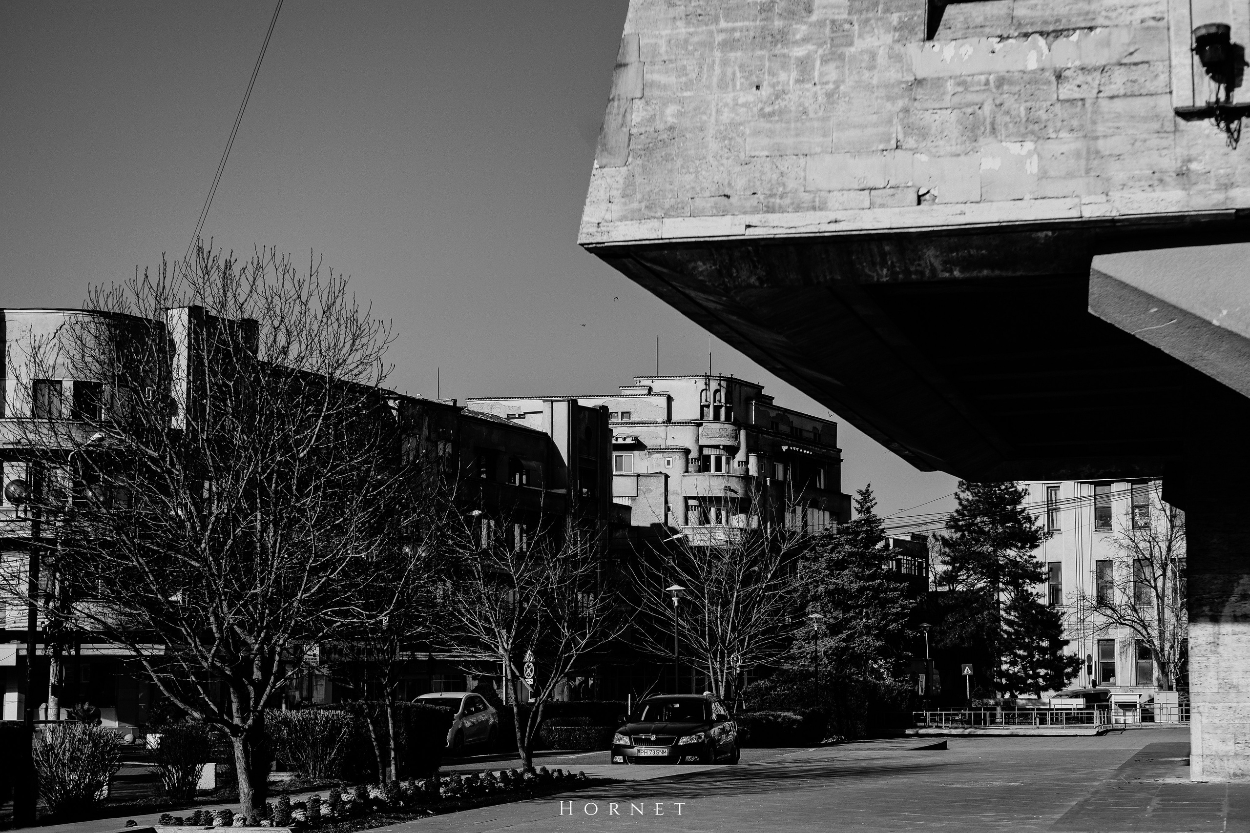 14.03.2026 Ploiesti | Romania. Hornetart
