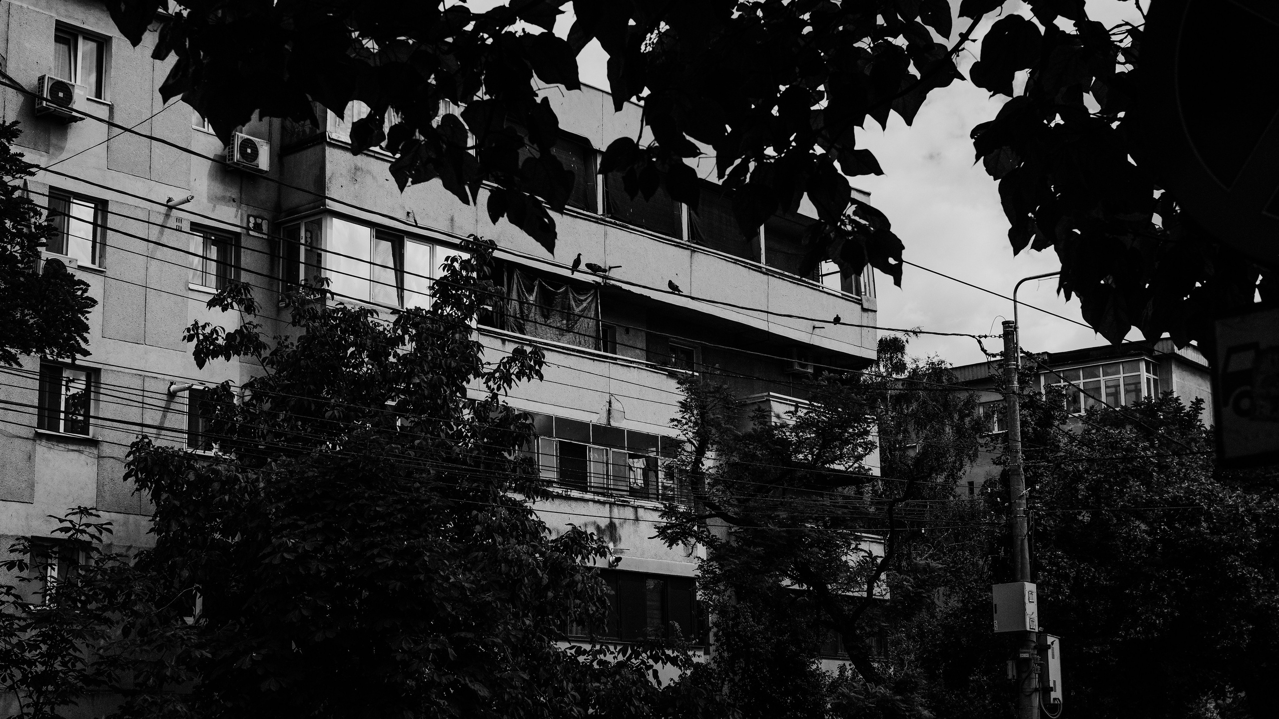 21.06.2025 Ploiesti | Romania. Hornetart
