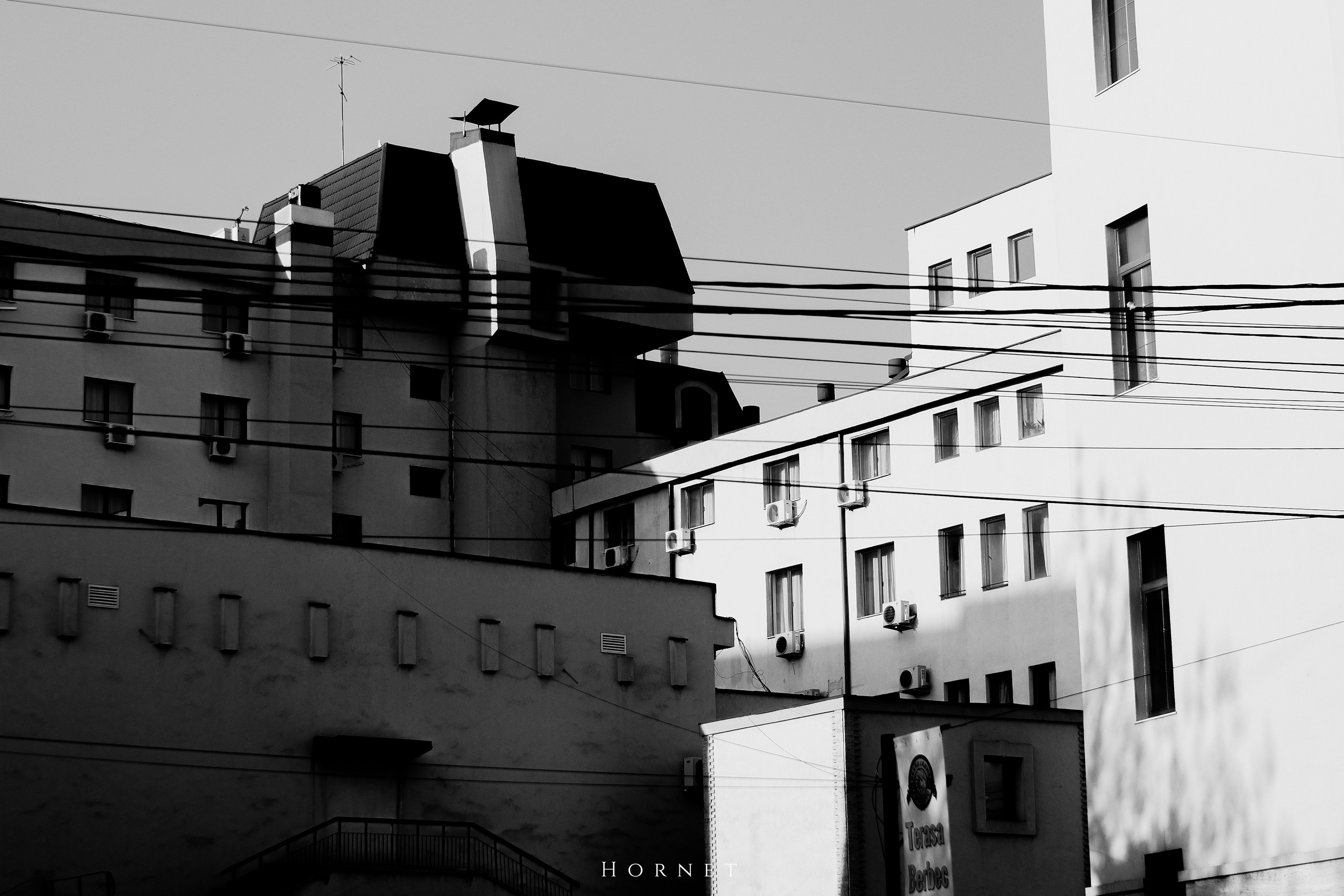 7.02.2025 Ploiesti | Romania. Hornetart