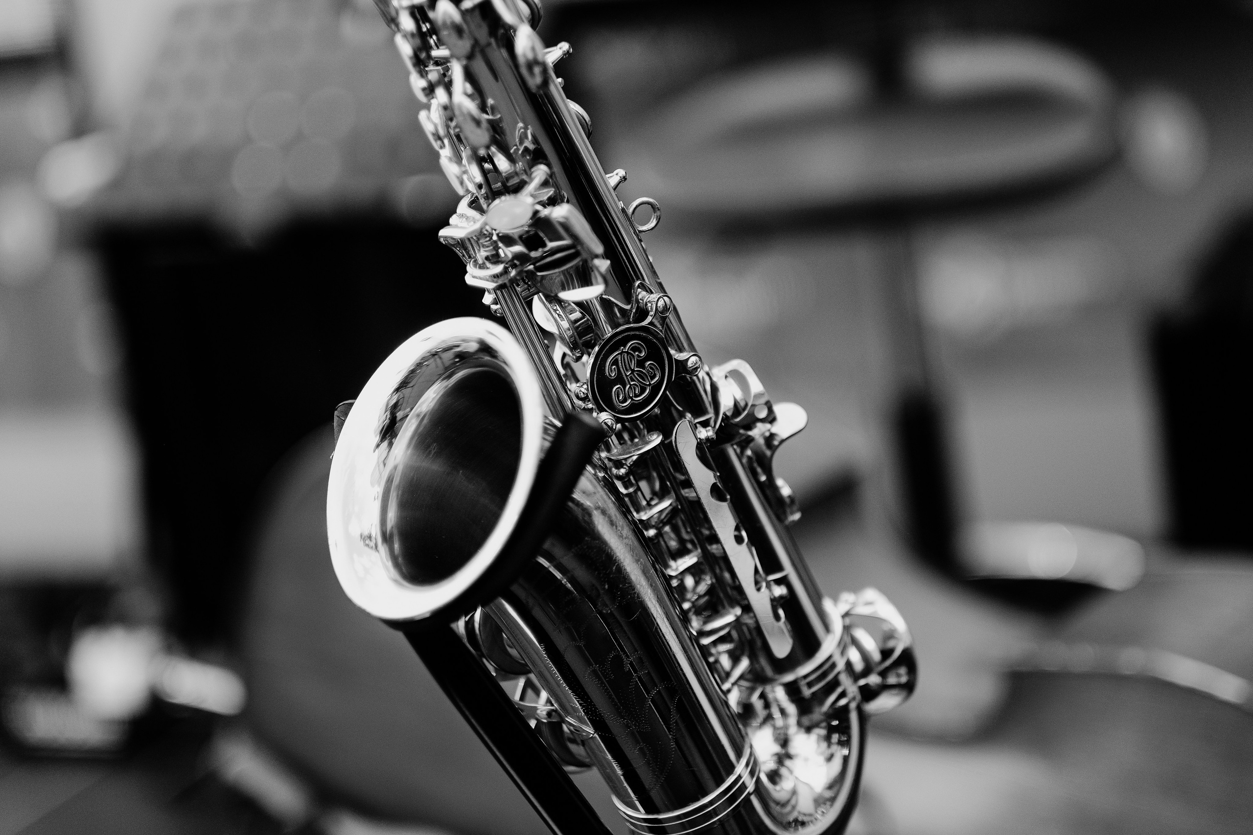 David Luca Trio. Hornetart