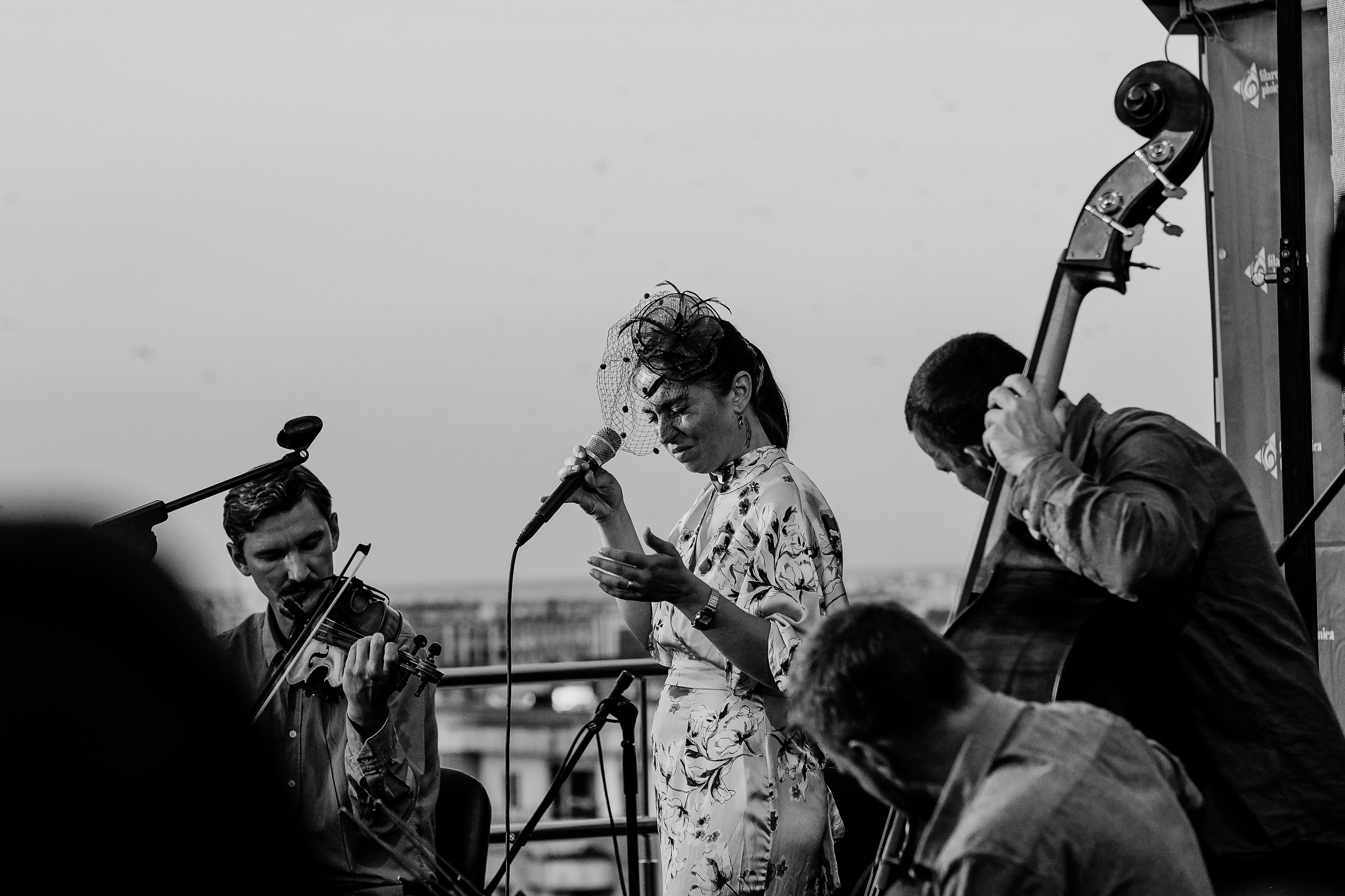 Luiza Zan & Jazzpar Trio. Hornetart