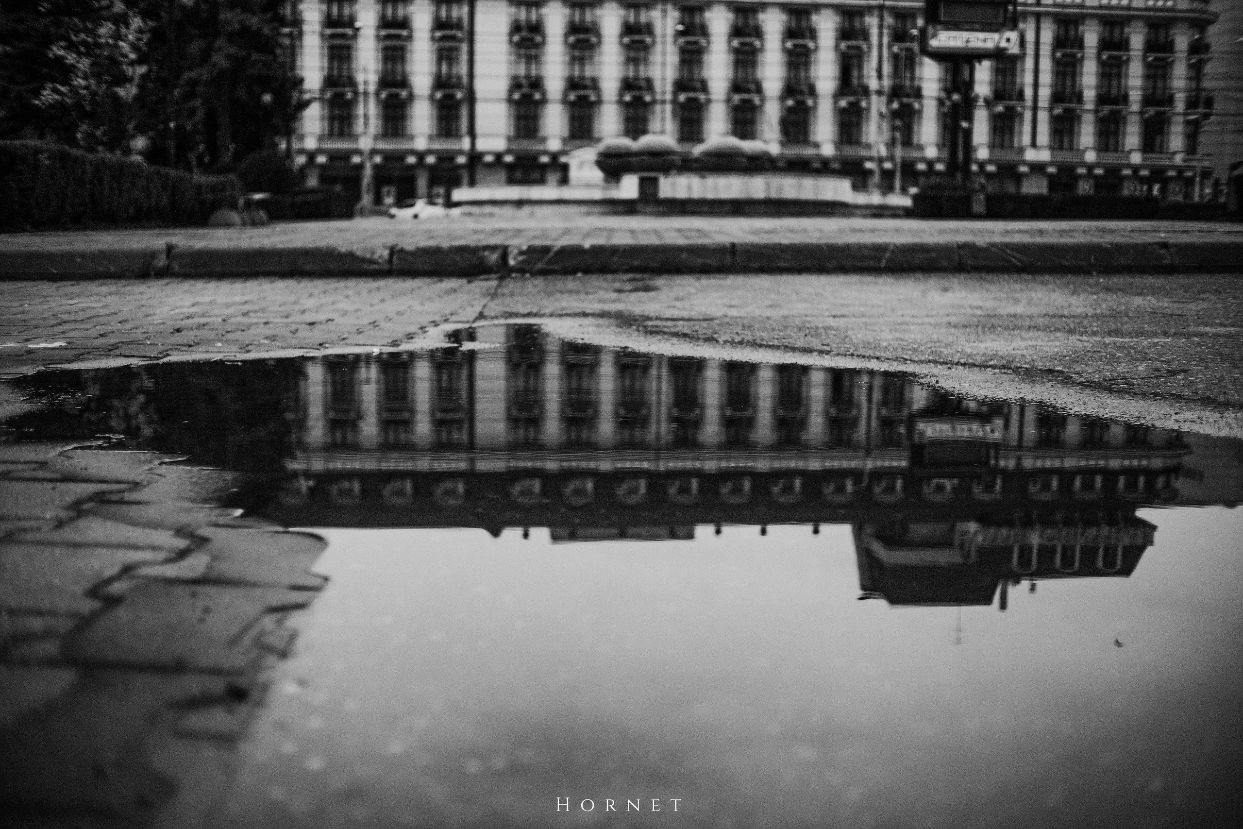 29.03.2025 Ploiesti | Romania. Hornetart
