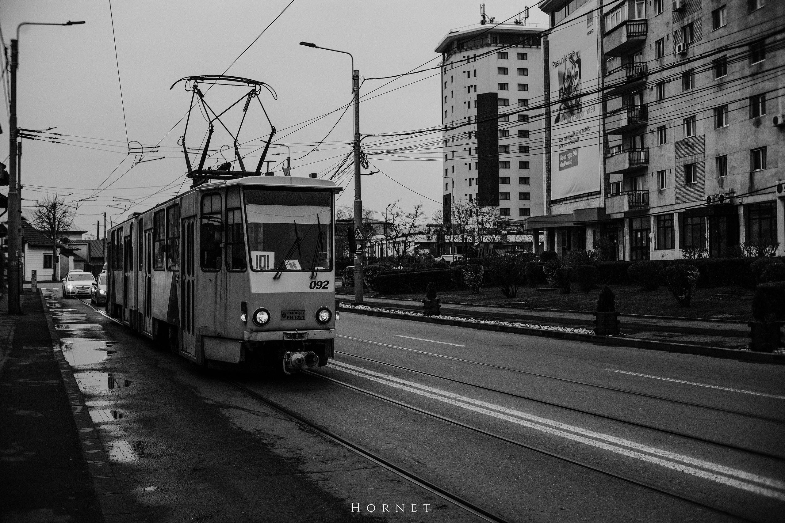 29.03.2025 Ploiesti | Romania. Hornetart