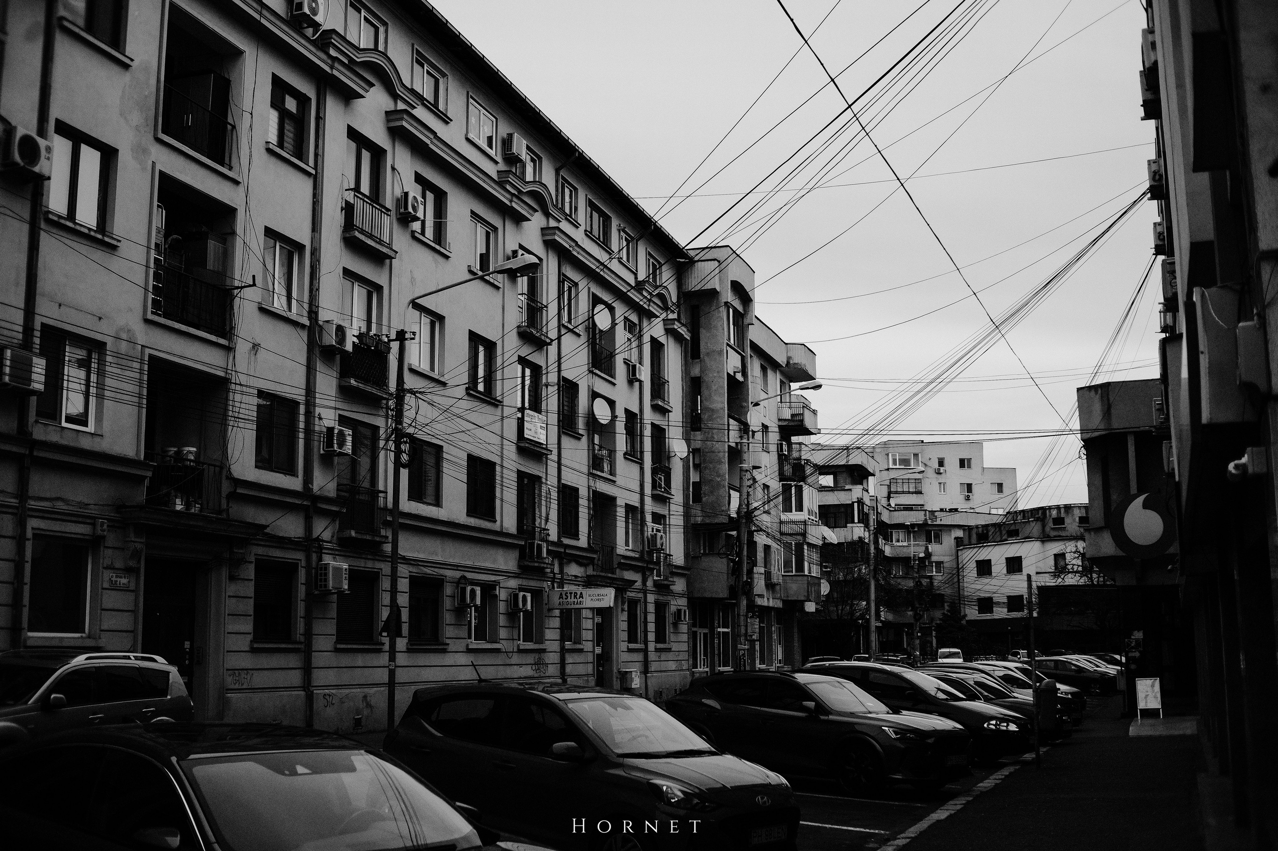 7.01.2025 Ploiesti | Romania. Hornetart