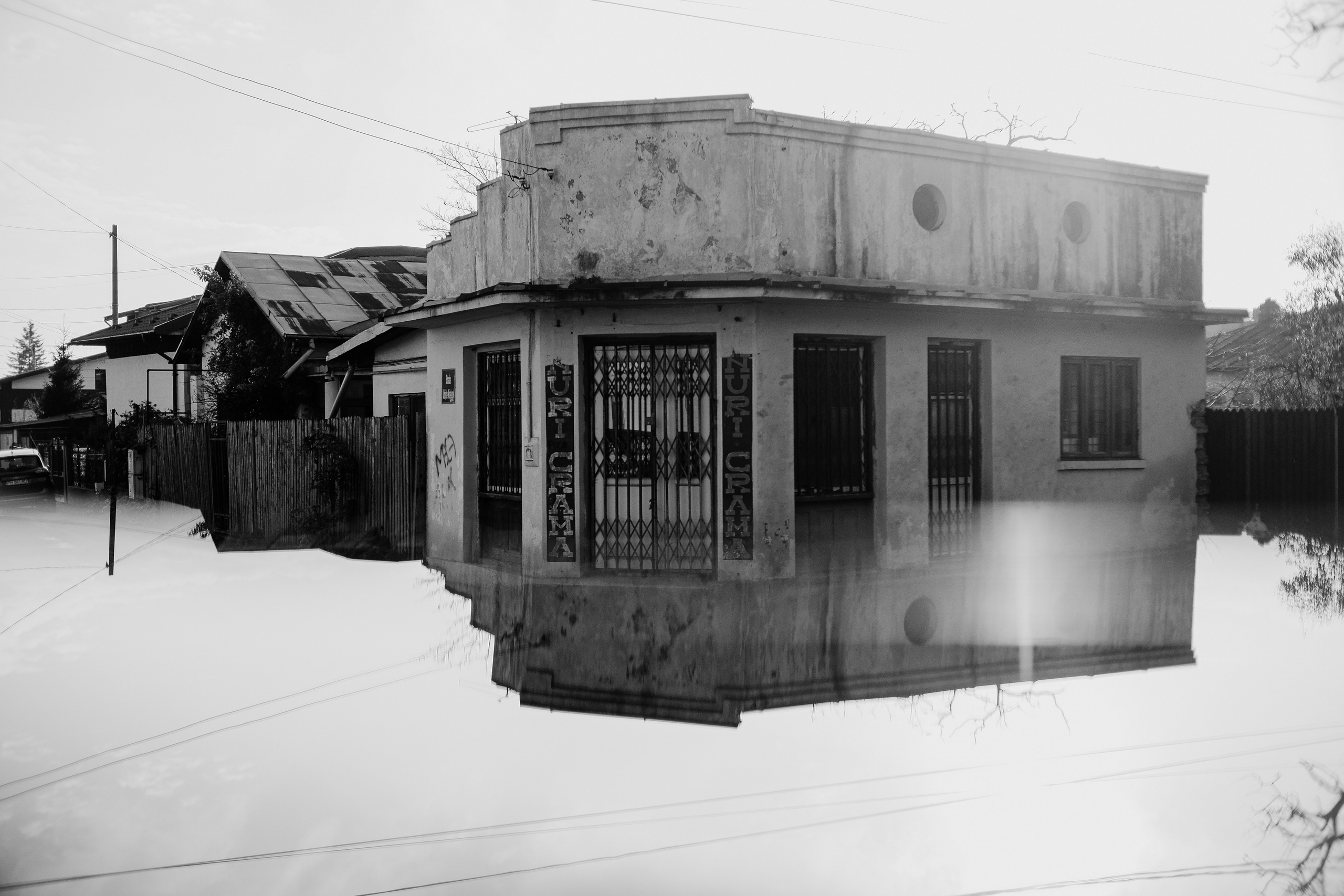 22.11.2025 Ploiesti | Romania. Hornetart