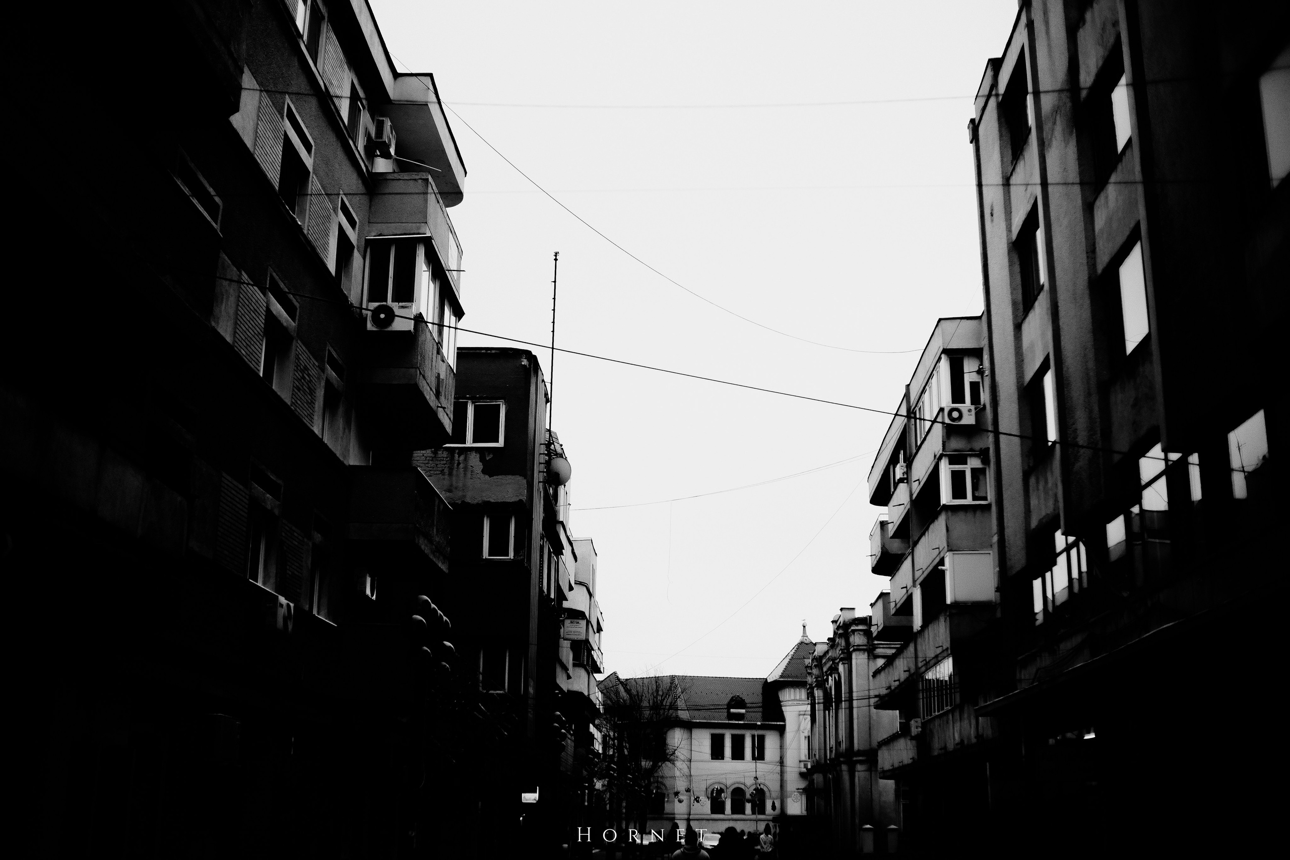 7.01.2025 Ploiesti | Romania. Hornetart