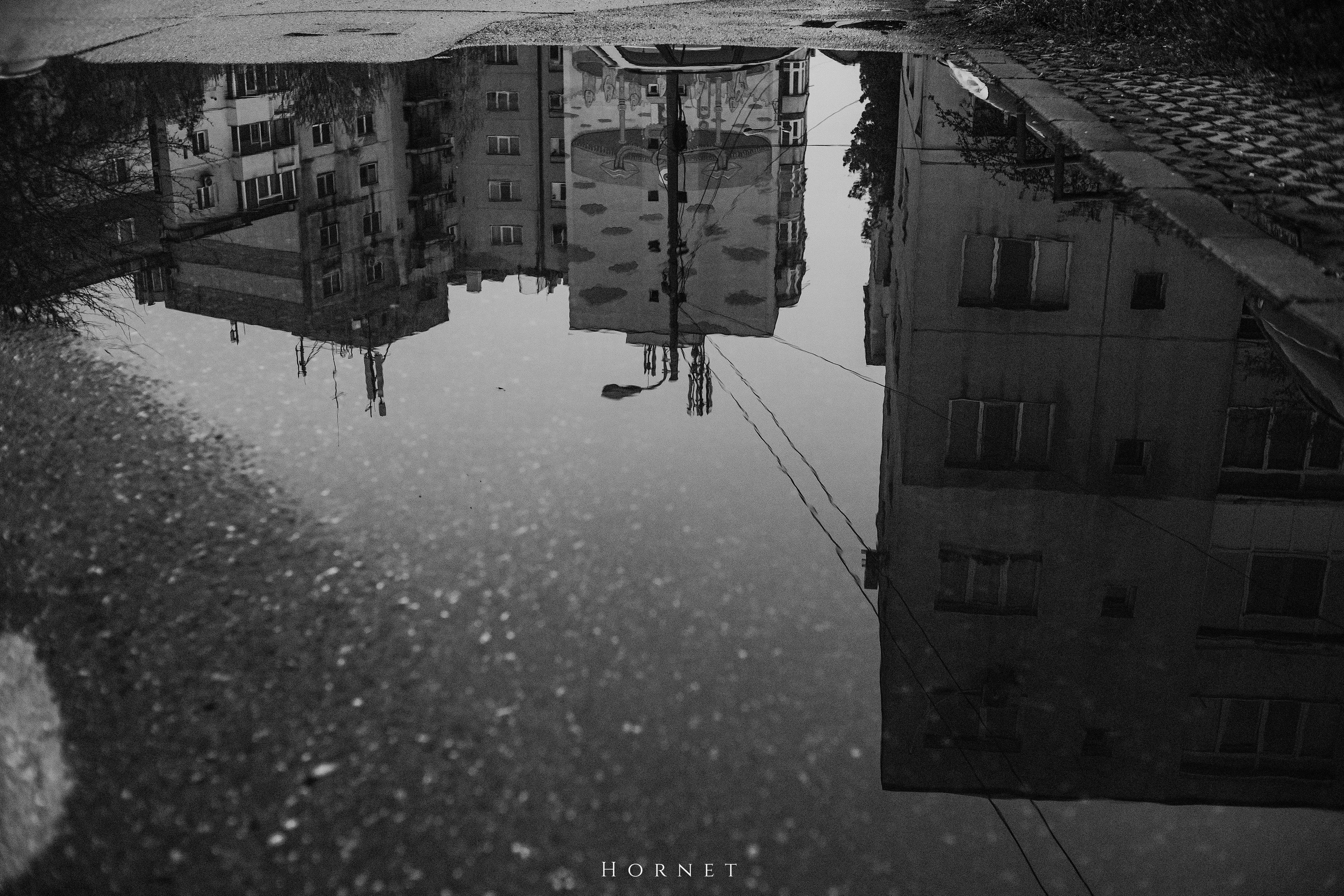 29.03.2025 Ploiesti | Romania. Hornetart