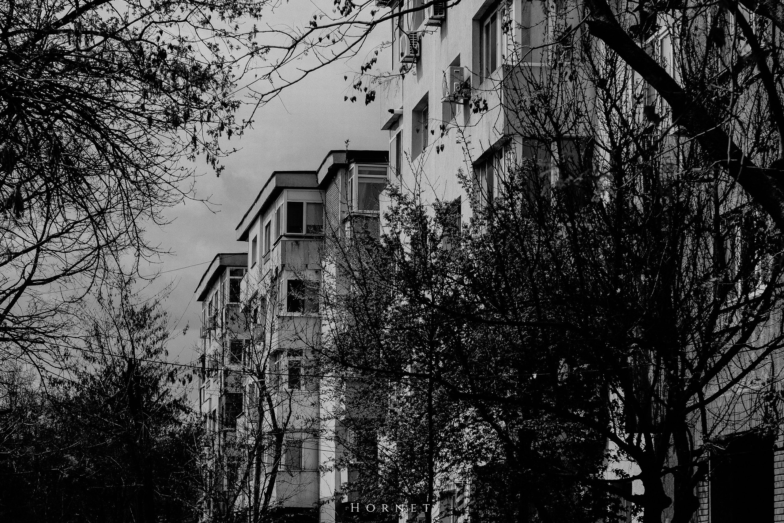 5.04.2025 Ploiesti | Romania. Hornetart