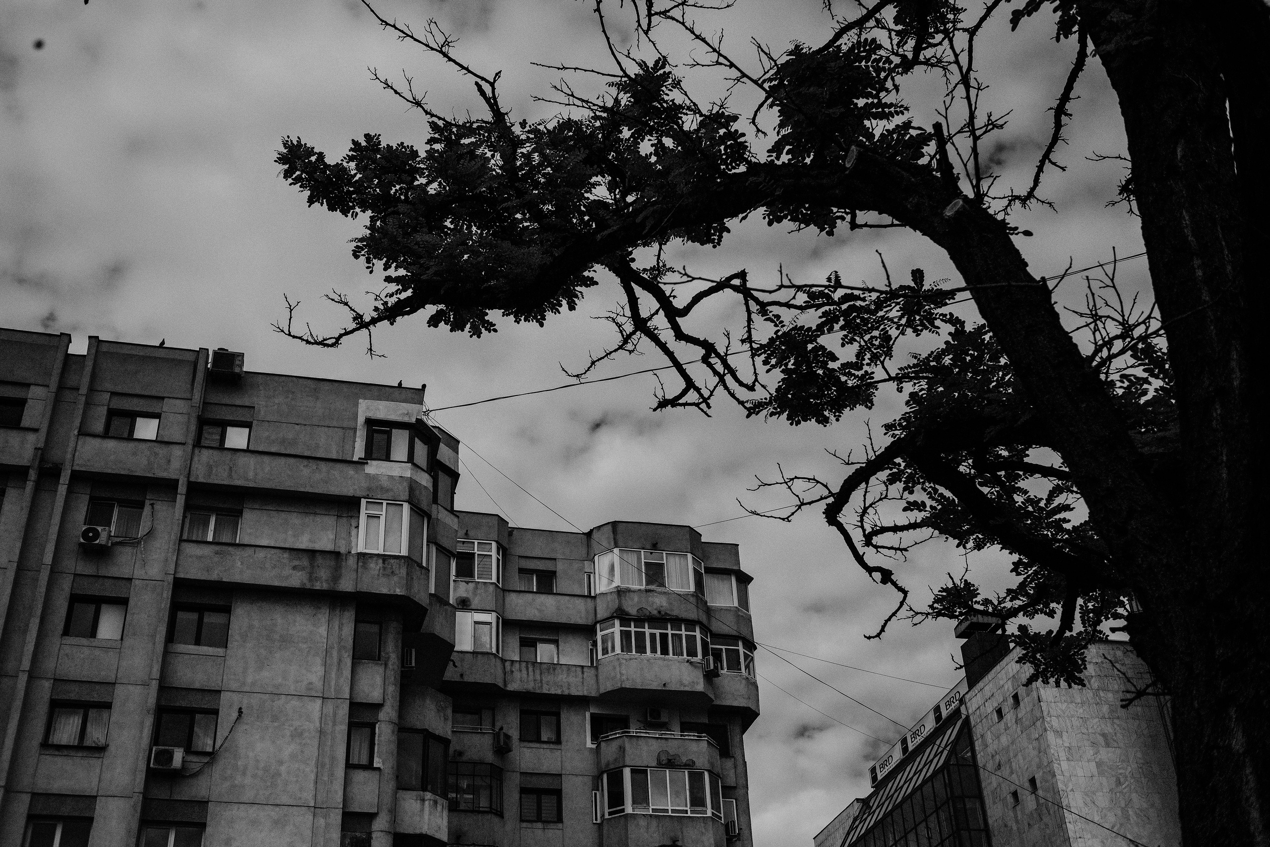 10.05.2025 Ploiesti | Romania. Hornetart