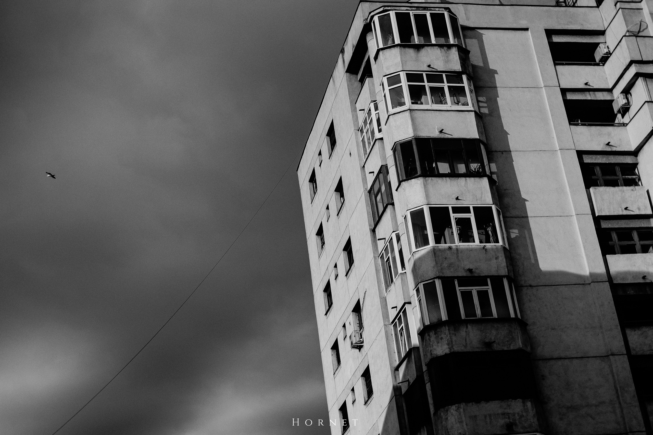 12.04.2025 Ploiesti | Romania. Hornetart