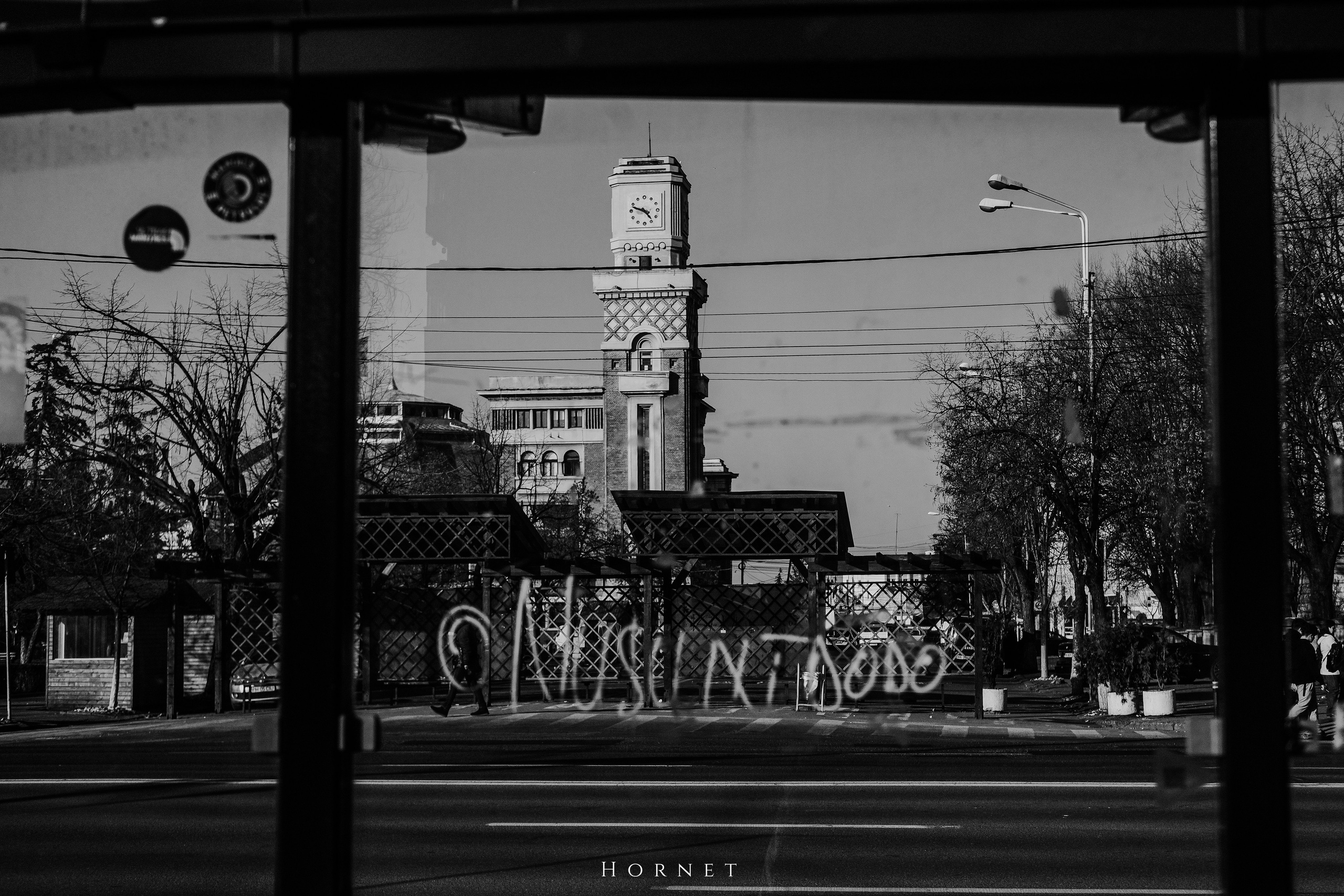14.03.2026 Ploiesti | Romania. Hornetart