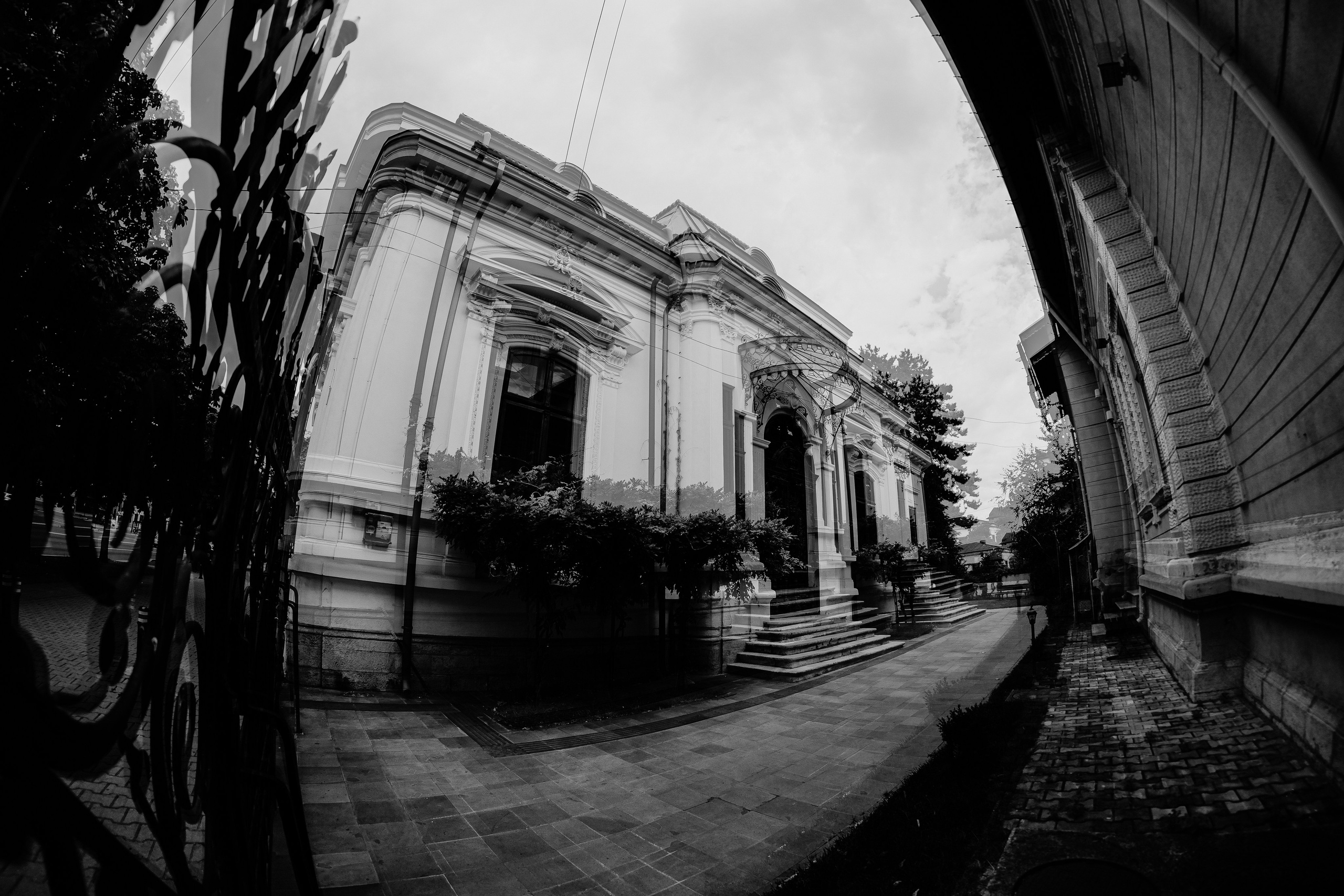 19.07.2025 Ploiesti | Romania. Hornetart