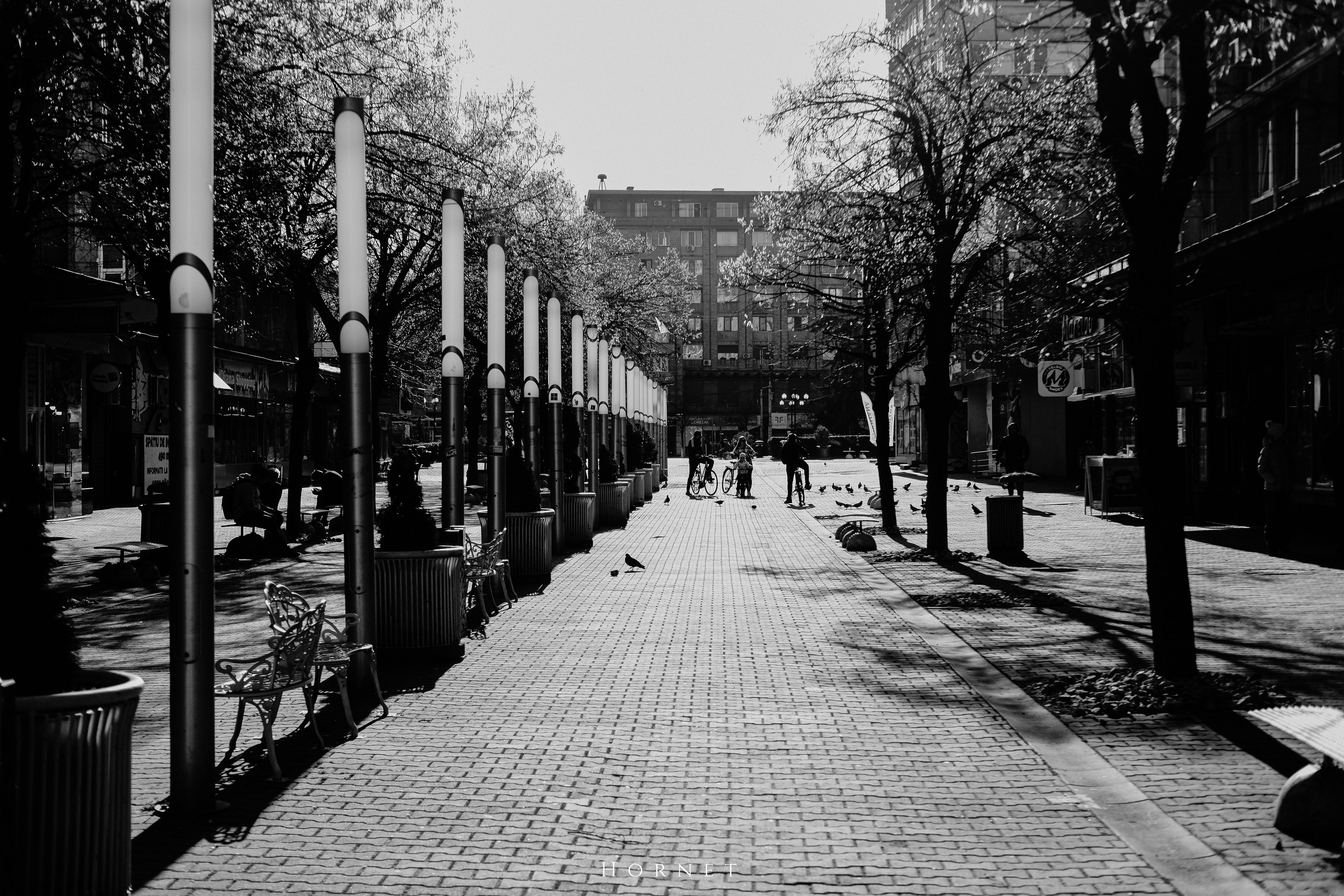 14.03.2026 Ploiesti | Romania. Hornetart