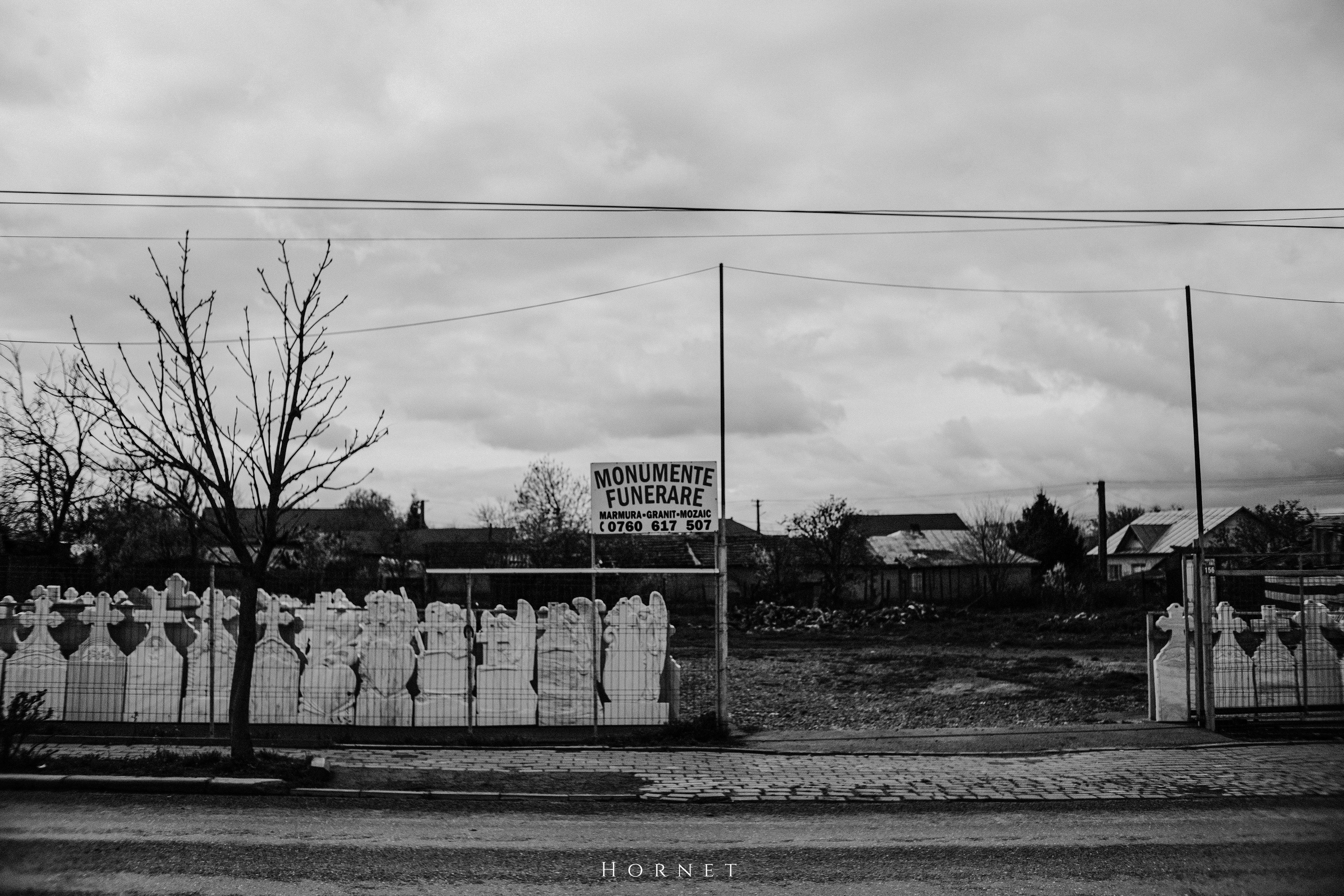 30.03.2025 Buzau | Romania. Hornetart