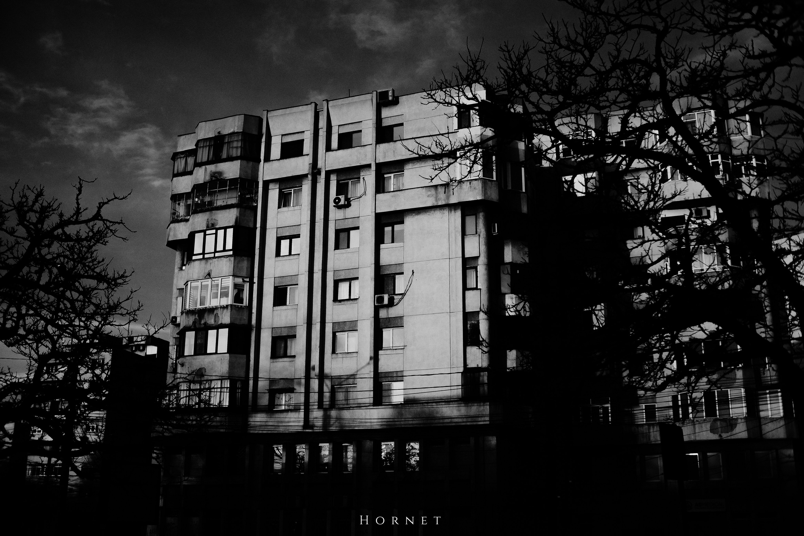 12.01.2025 Ploiesti | Romania. Hornetart