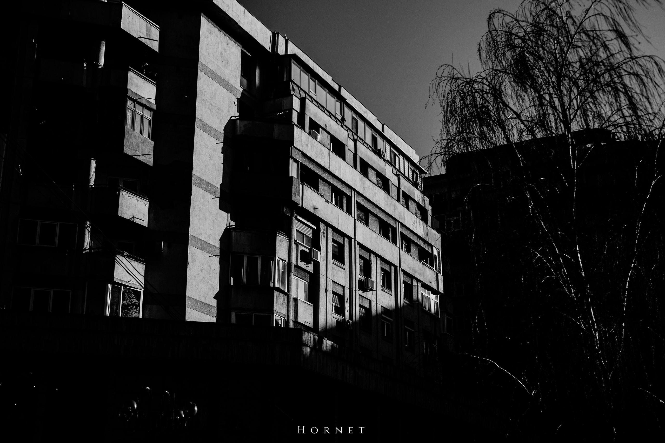 14.03.2026 Ploiesti | Romania. Hornetart