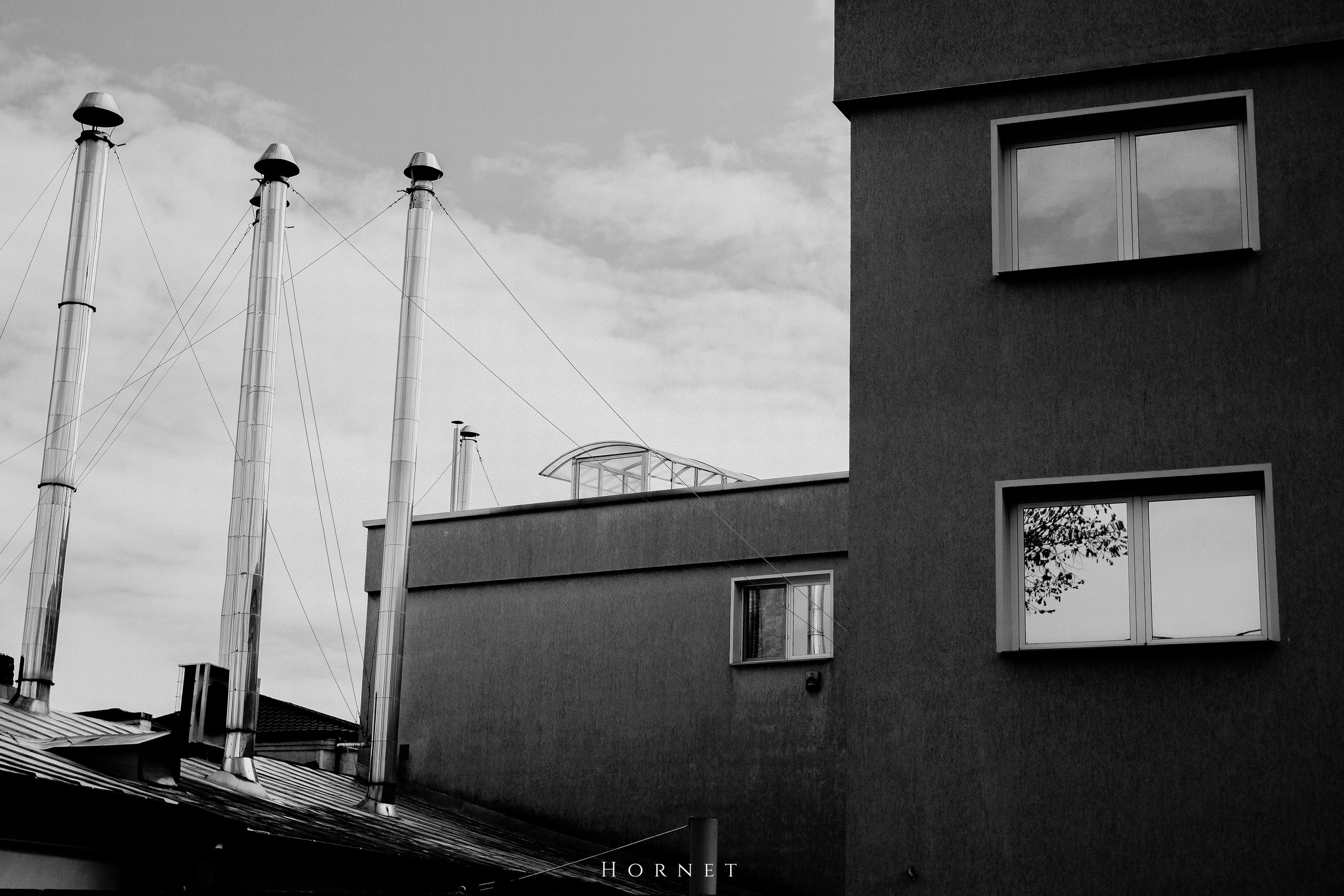 12.04.2025 Ploiesti | Romania. Hornetart