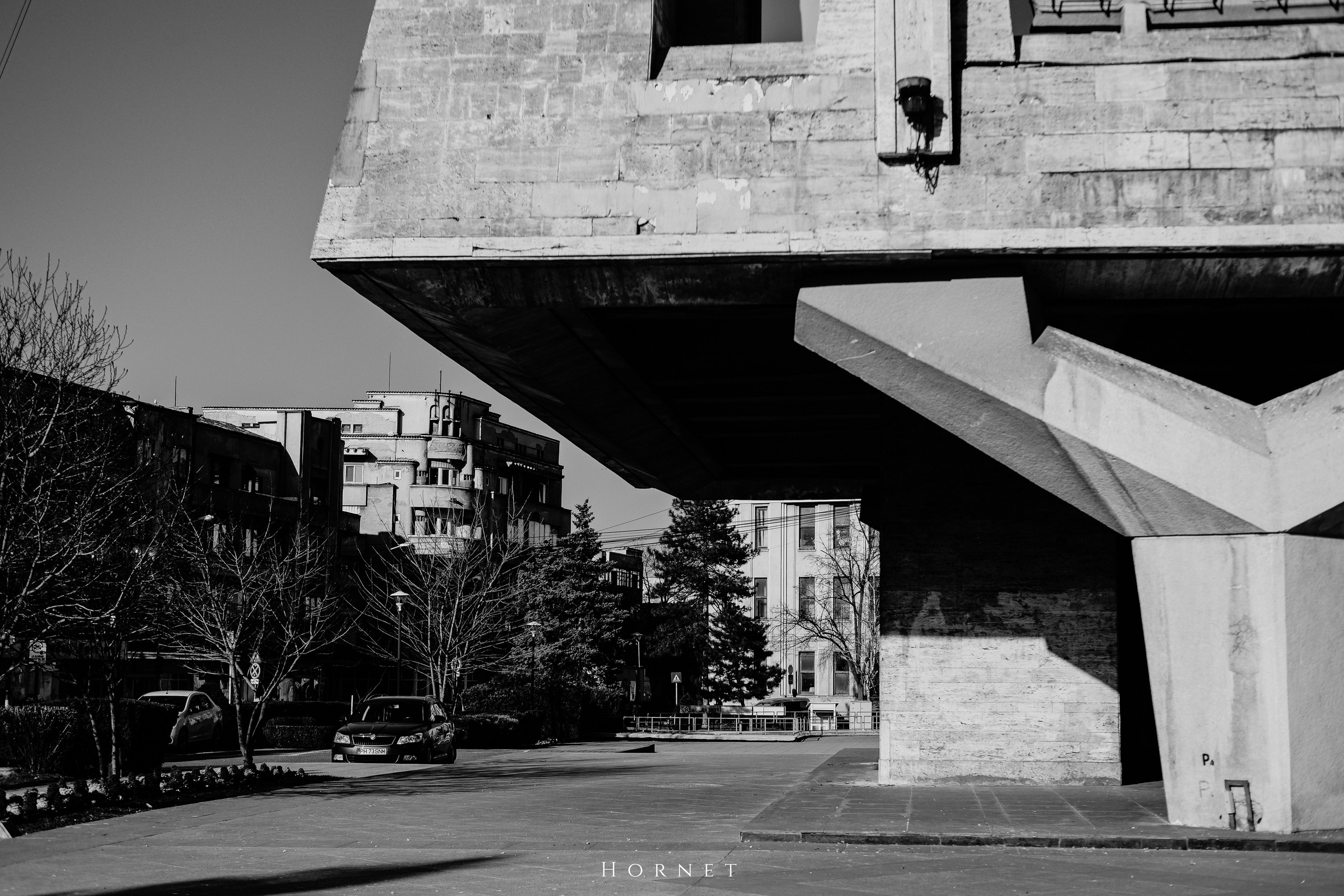 14.03.2026 Ploiesti | Romania. Hornetart
