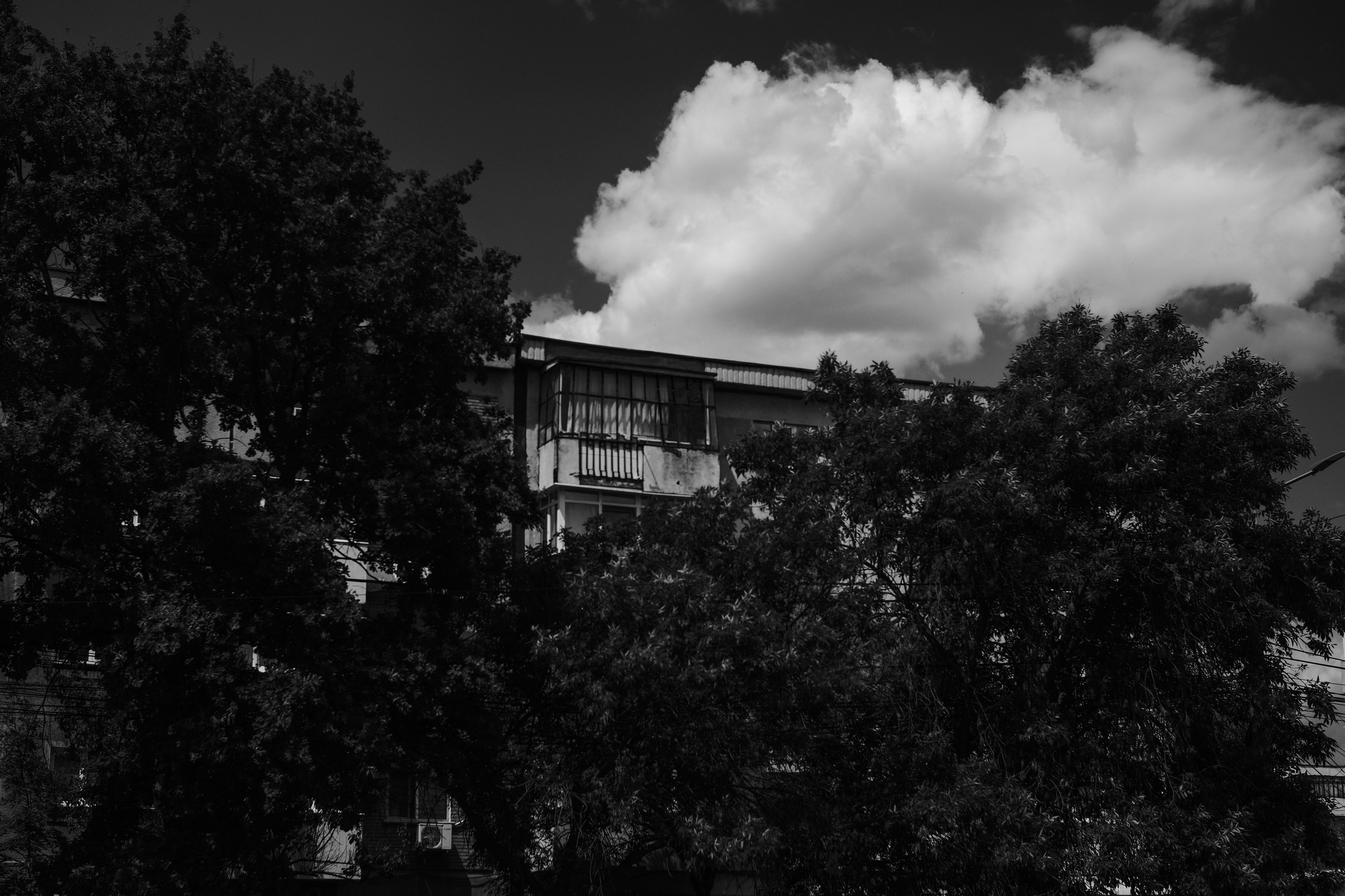 21.06.2025 Ploiesti | Romania. Hornetart