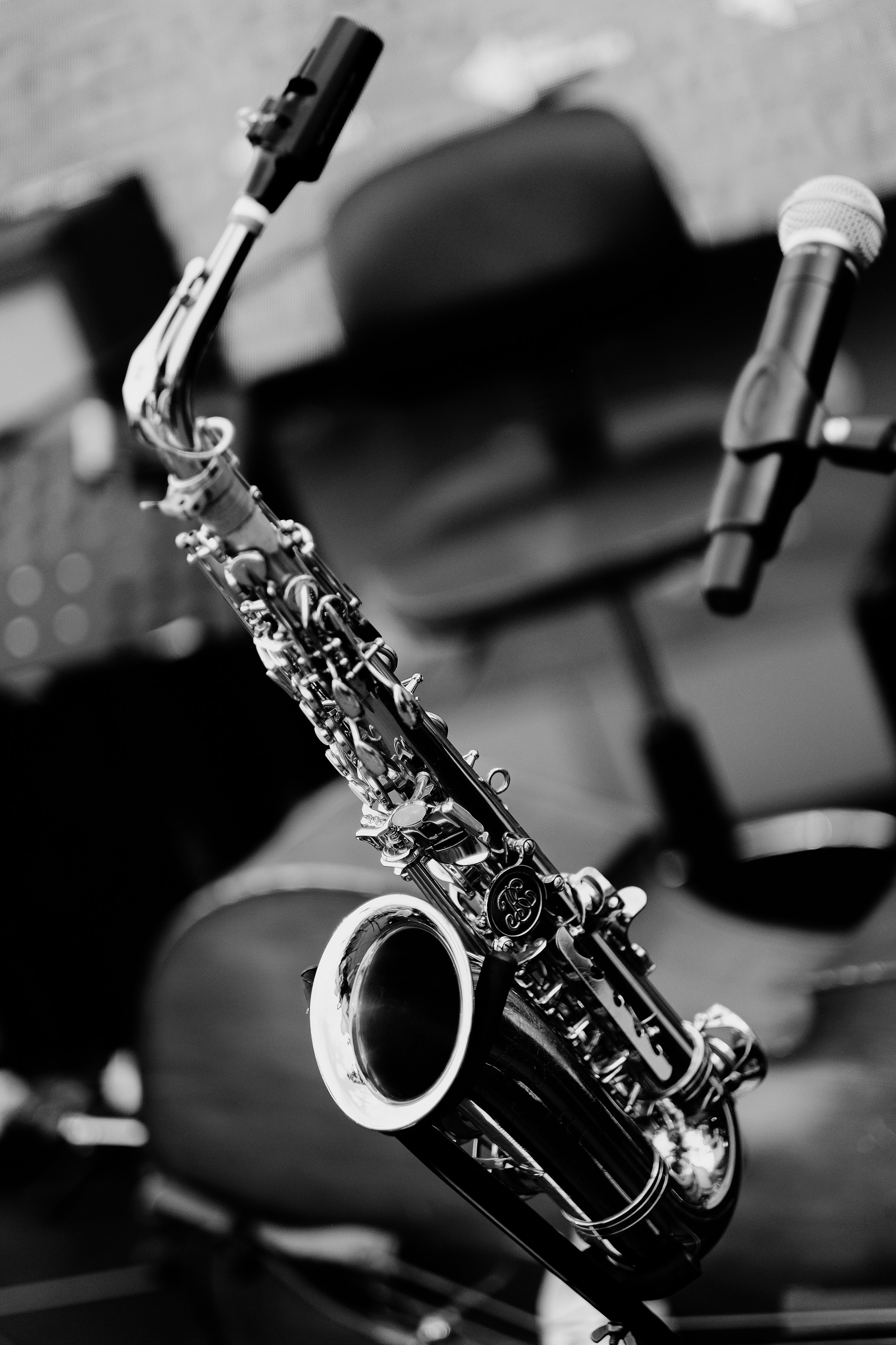 David Luca Trio. Hornetart