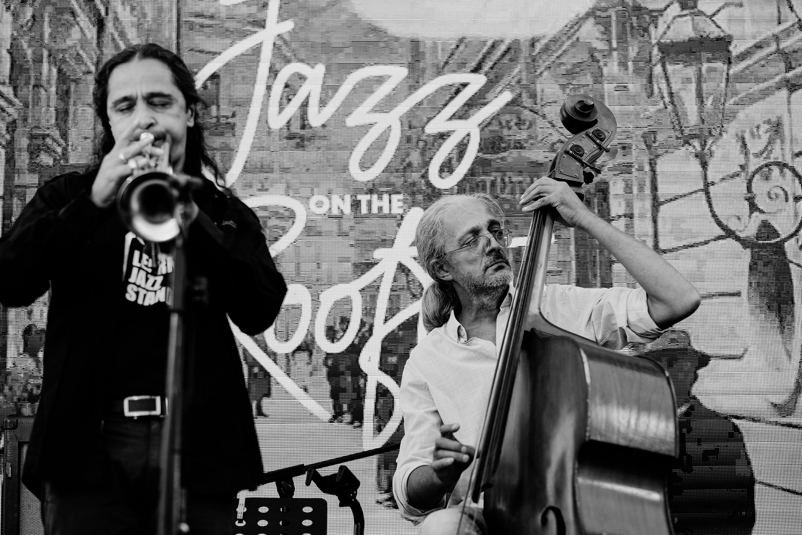David Luca Trio. Hornetart