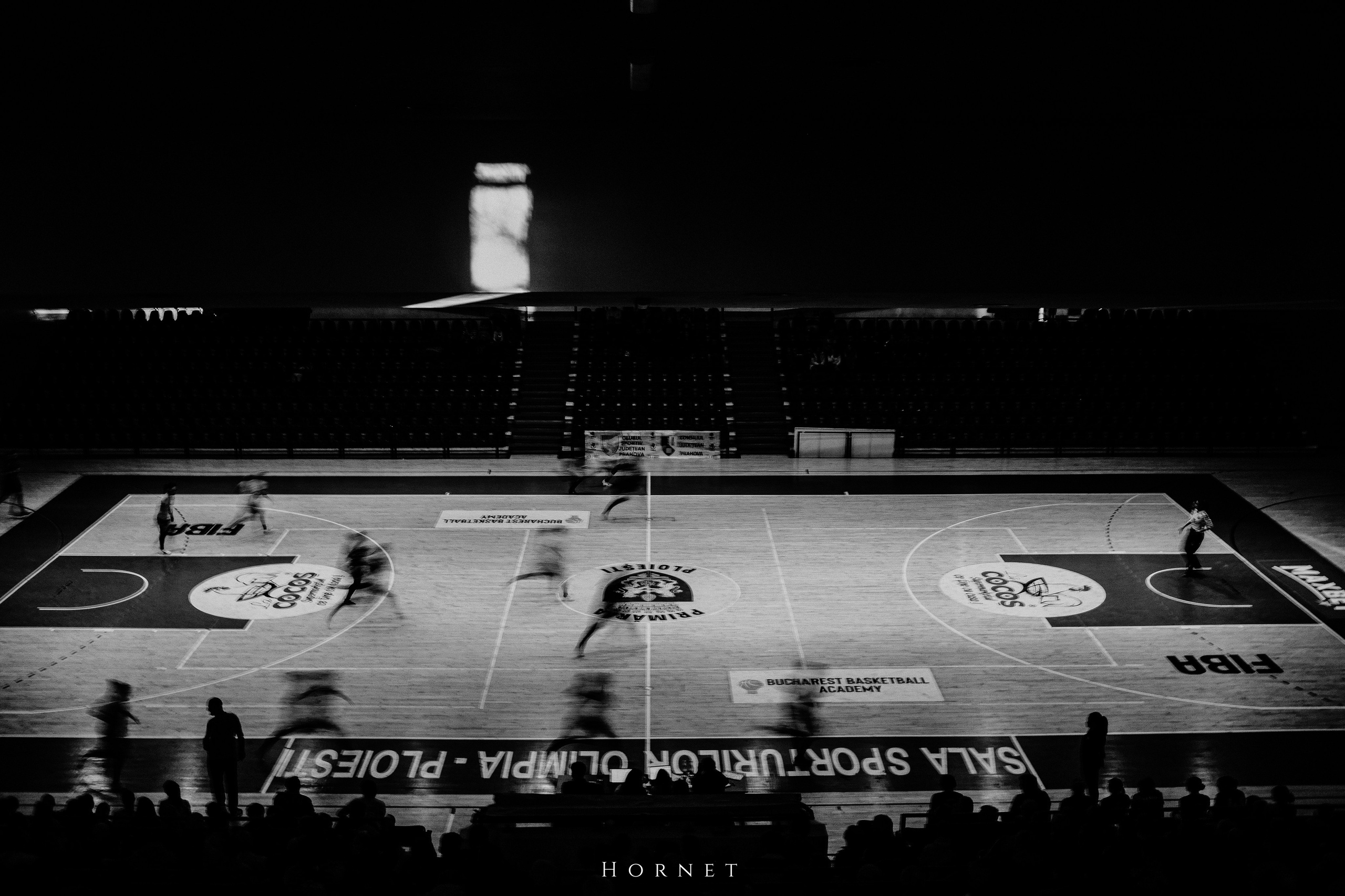 12.01.2025 Ploiesti | Romania. Hornetart
