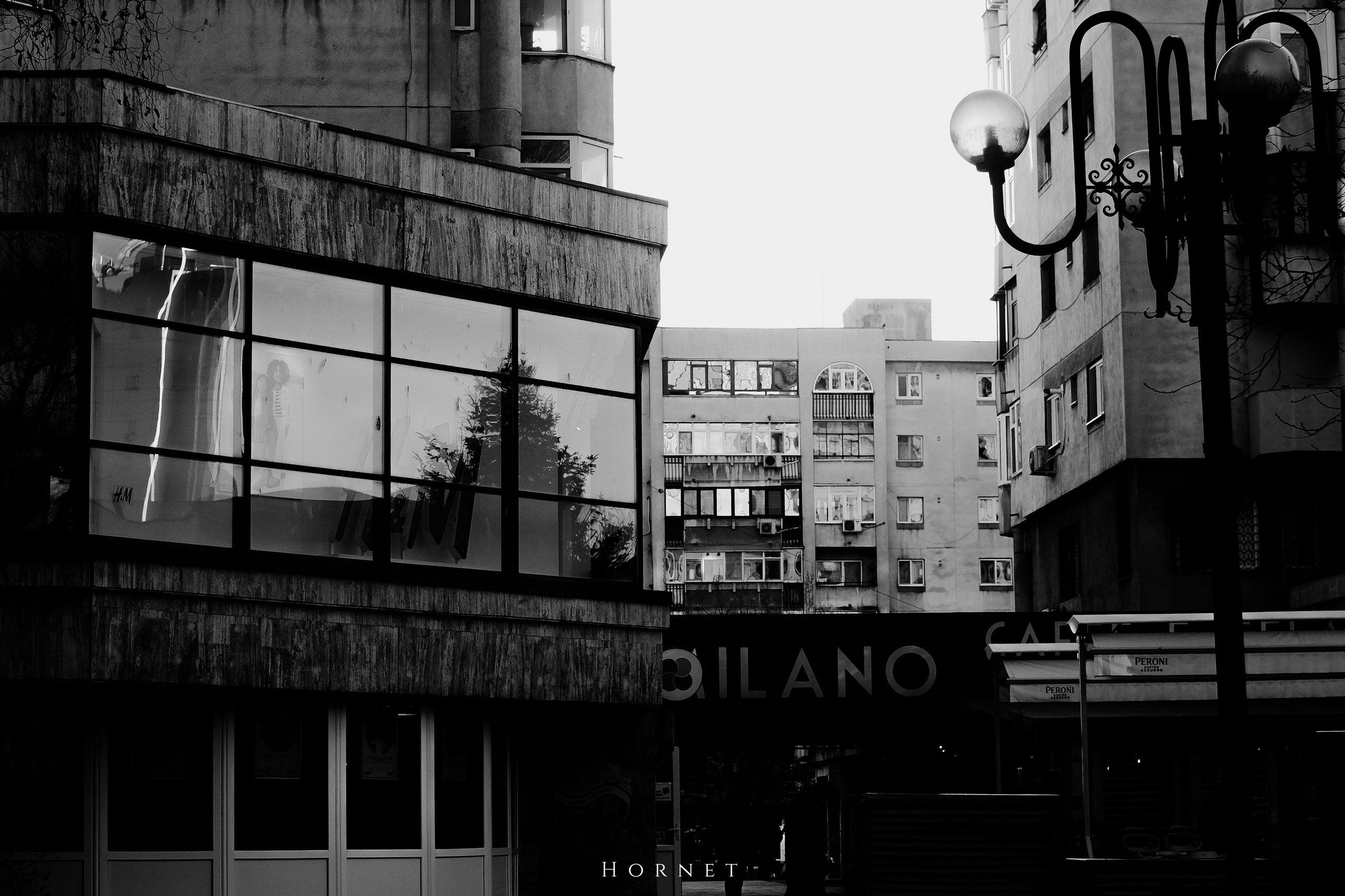 7.02.2025 Ploiesti | Romania. Hornetart