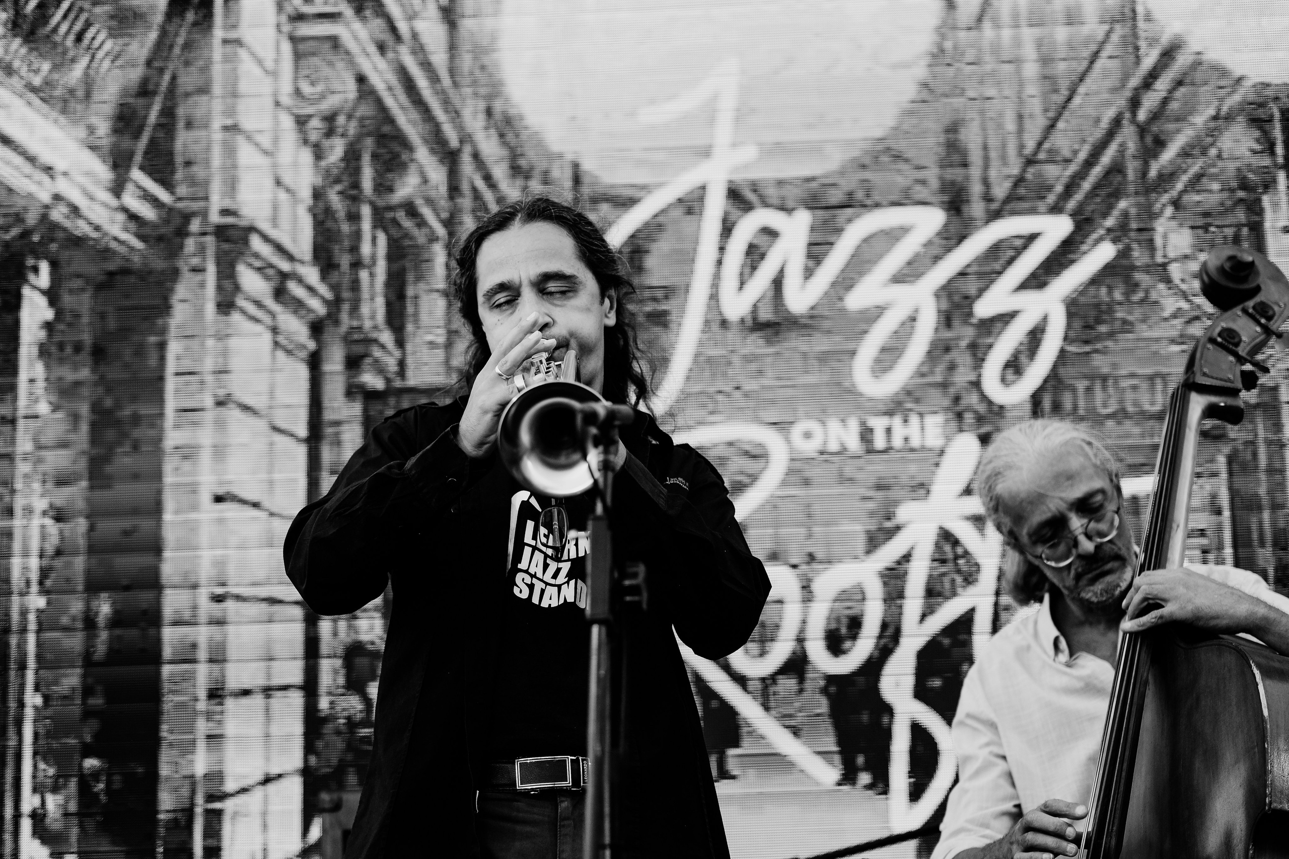 David Luca Trio. Hornetart