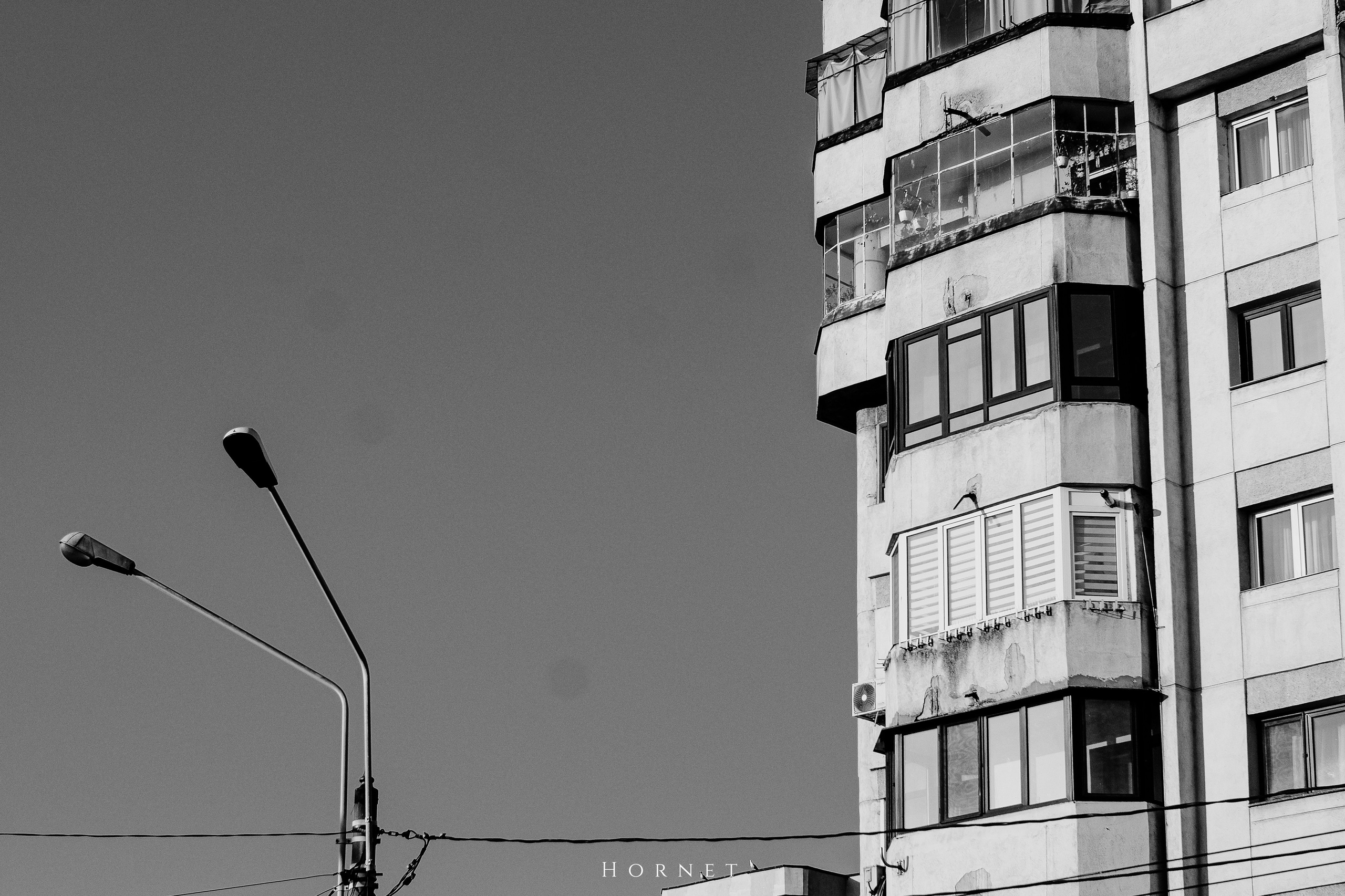 7.02.2025 Ploiesti | Romania. Hornetart
