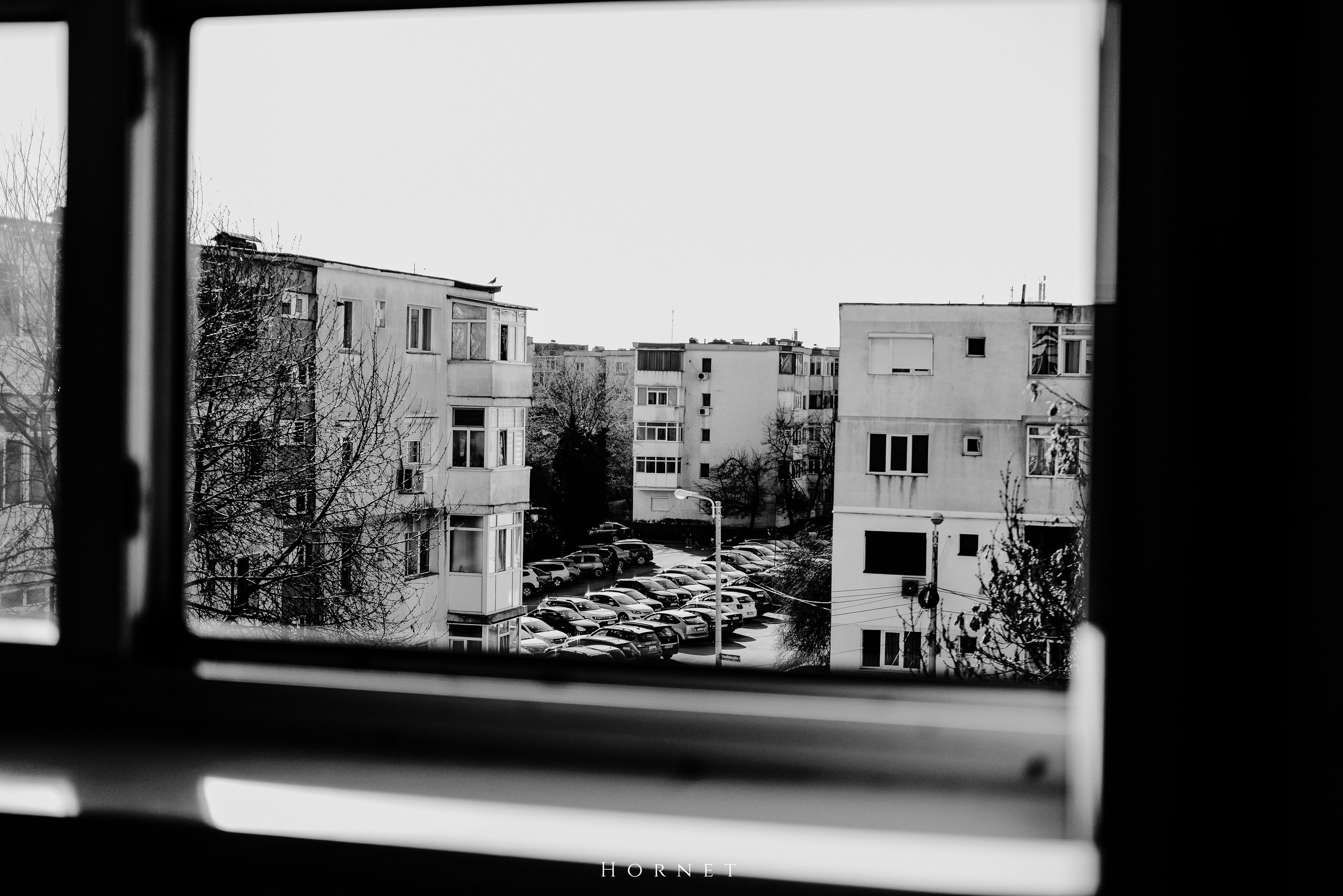 14.03.2026 Ploiesti | Romania. Hornetart