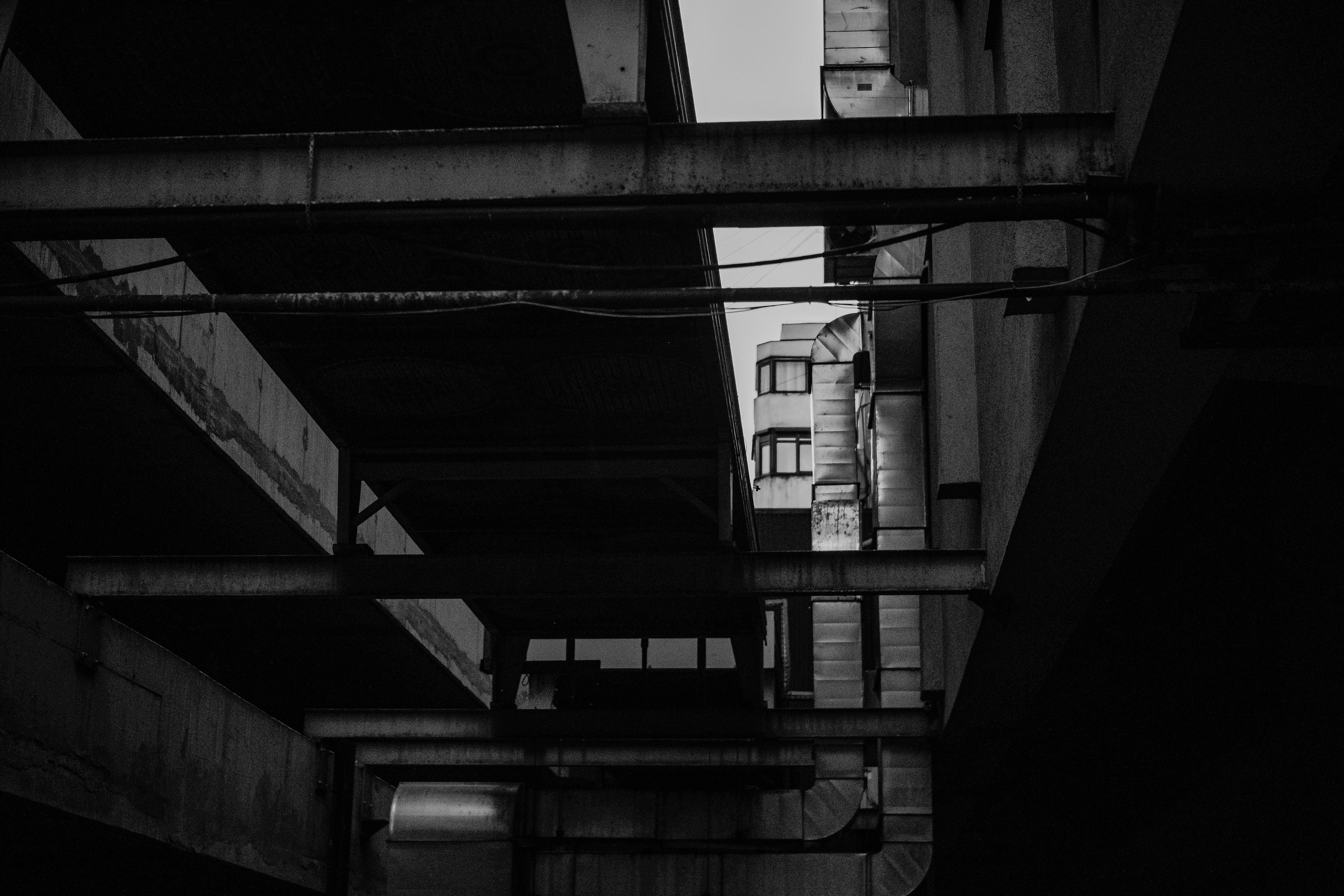 21.06.2025 Ploiesti | Romania. Hornetart