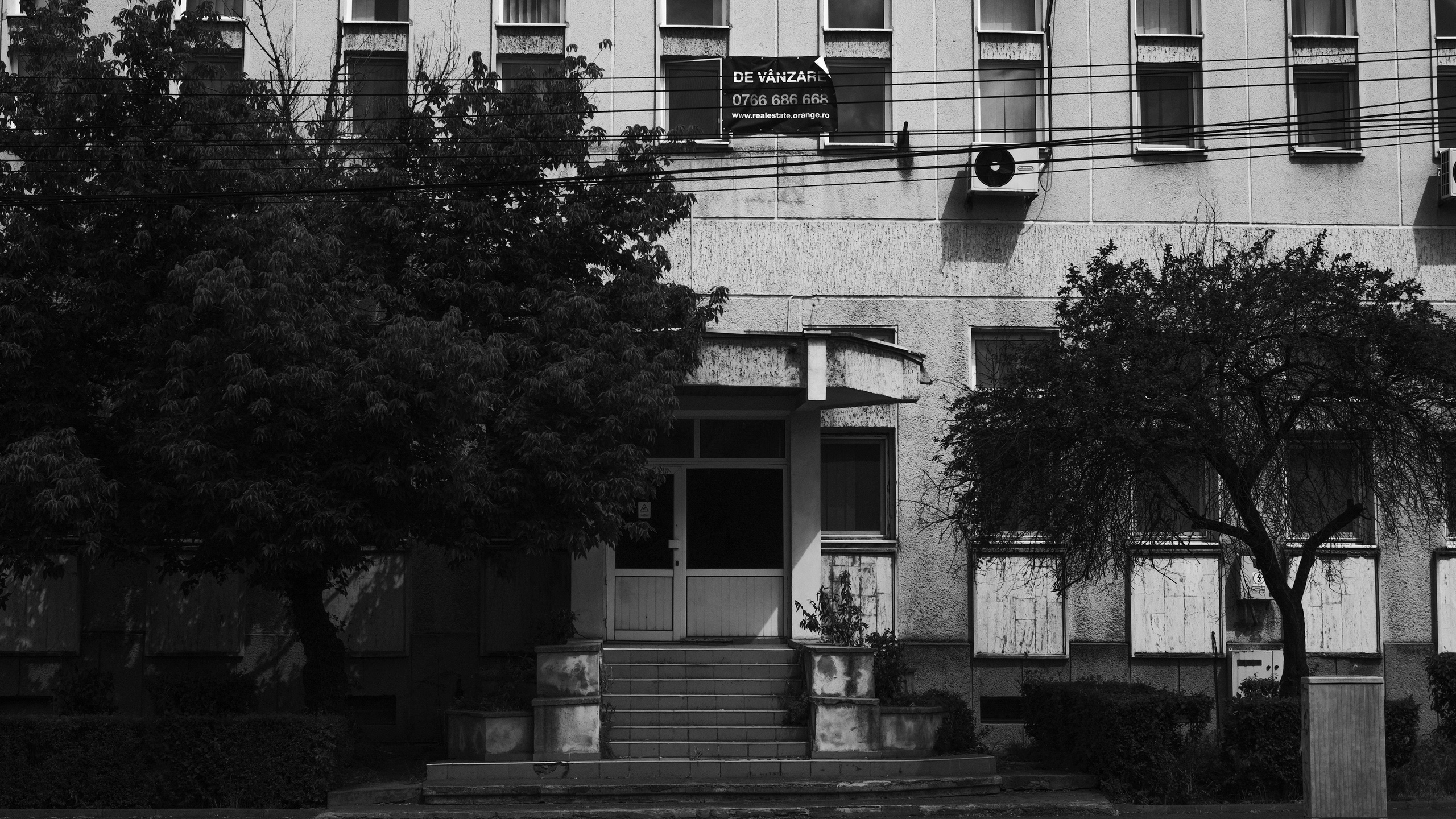 21.06.2025 Ploiesti | Romania. Hornetart
