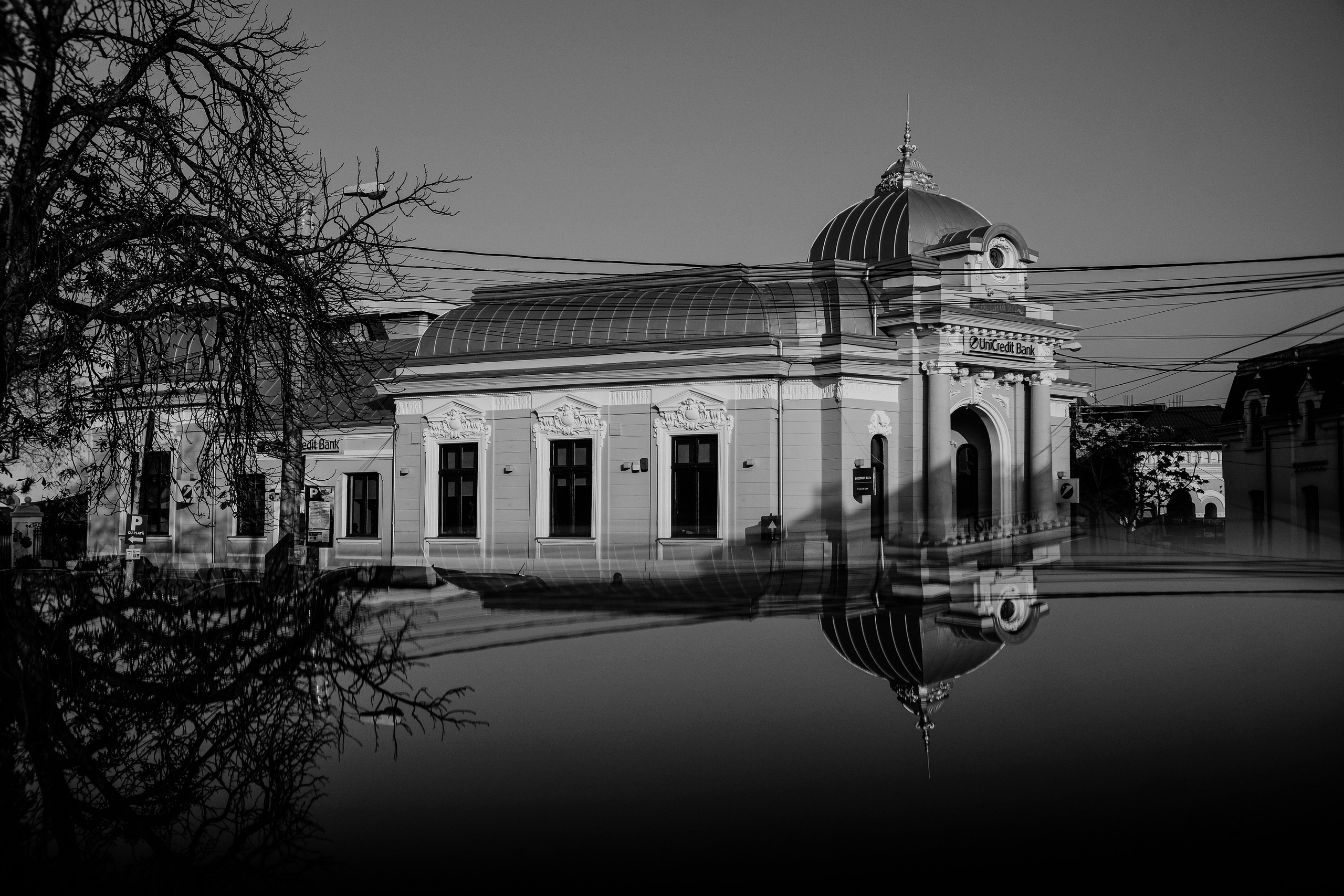 22.11.2025 Ploiesti | Romania. Hornetart