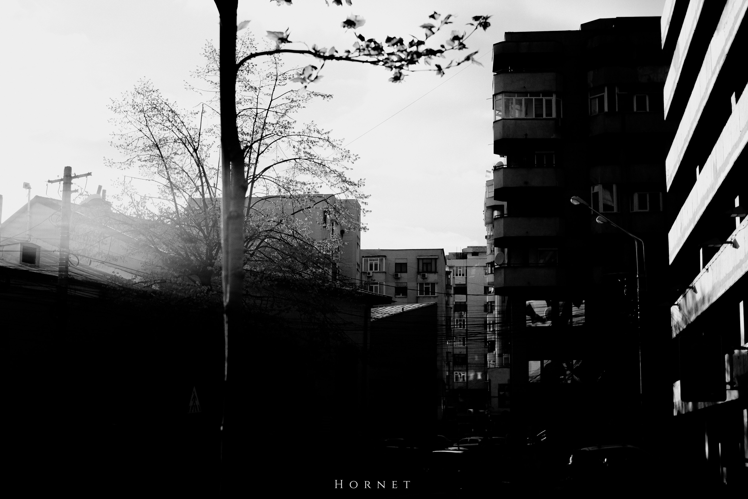 12.04.2025 Ploiesti | Romania. Hornetart