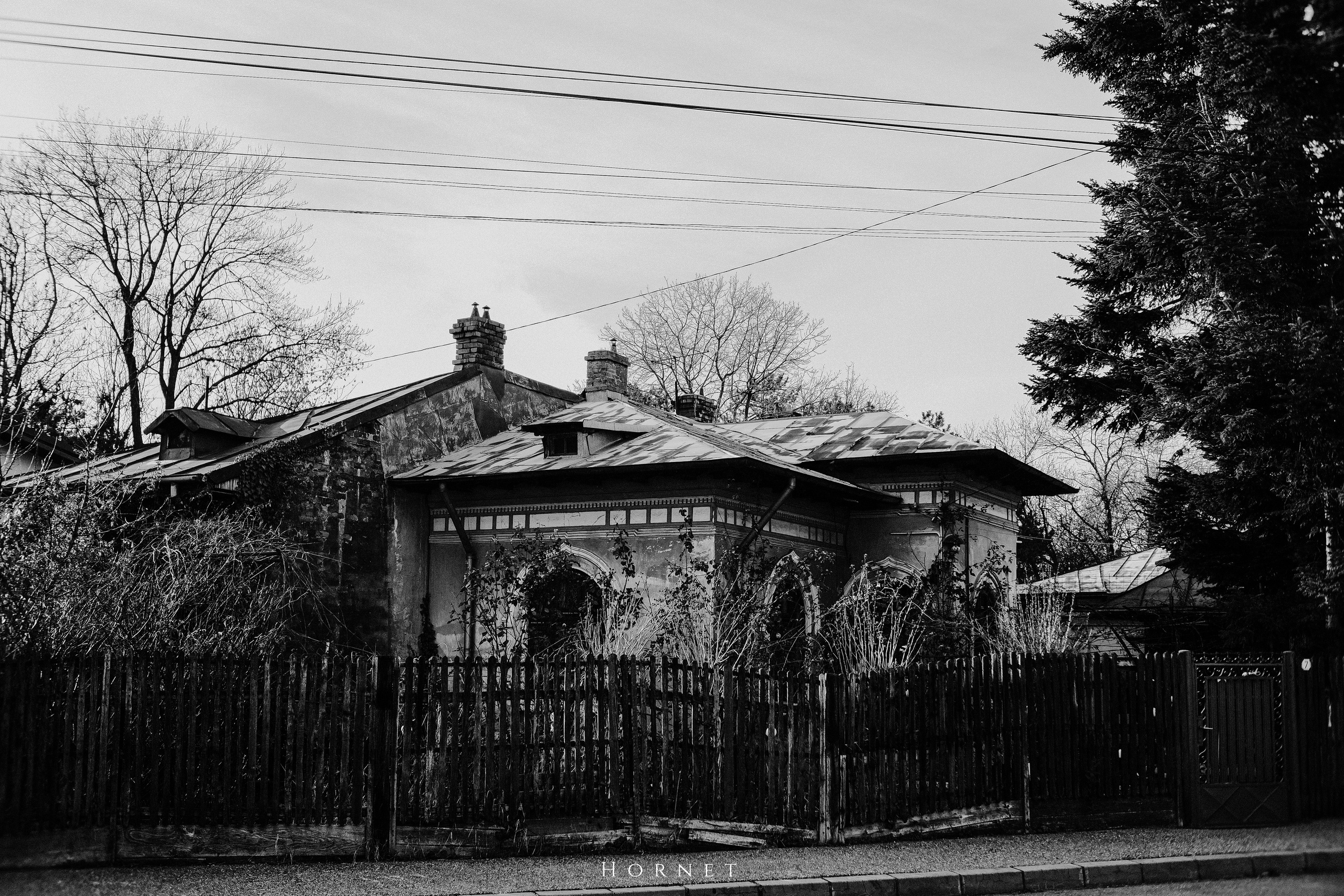 12.01.2025 Ploiesti | Romania. Hornetart
