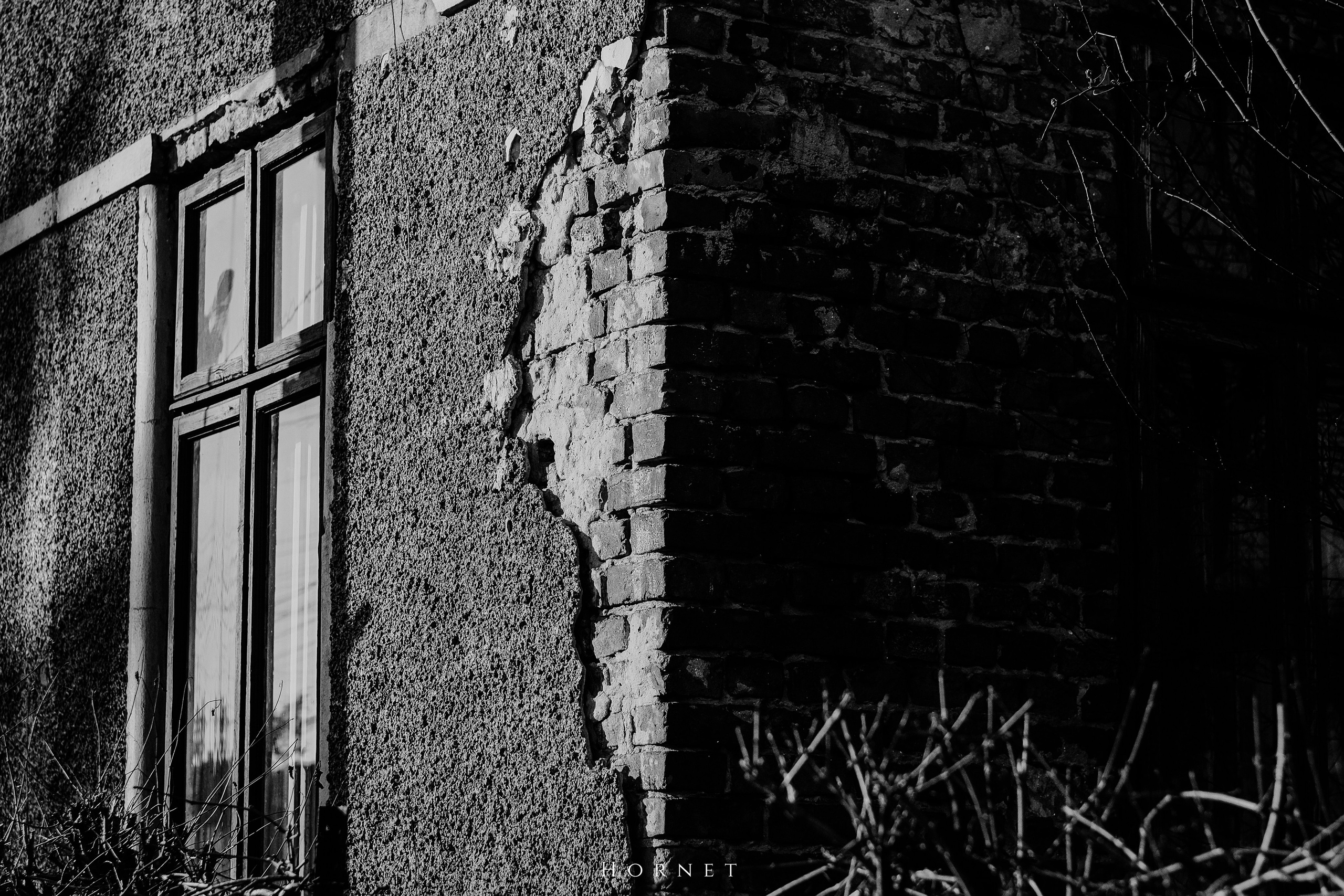 7.02.2025 Ploiesti | Romania. Hornetart